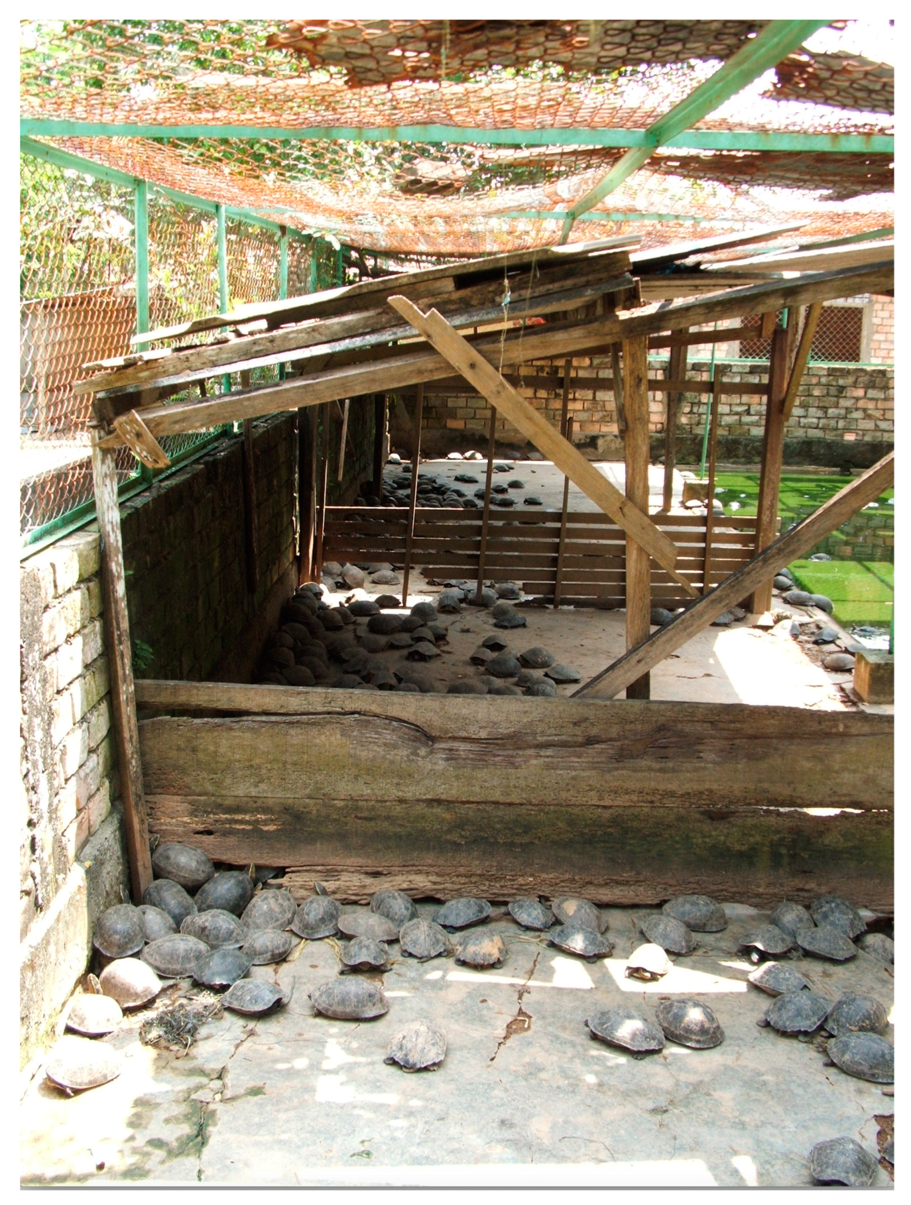 Diversity 14 00970 g002