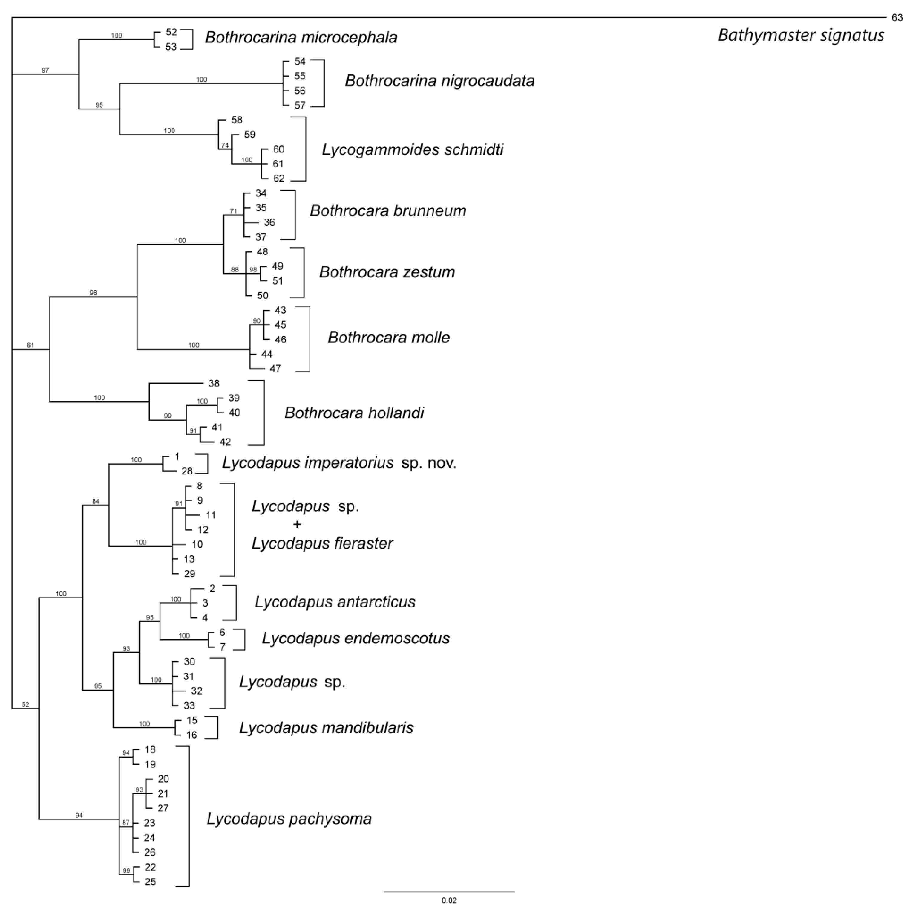 Diversity 14 00972 g002