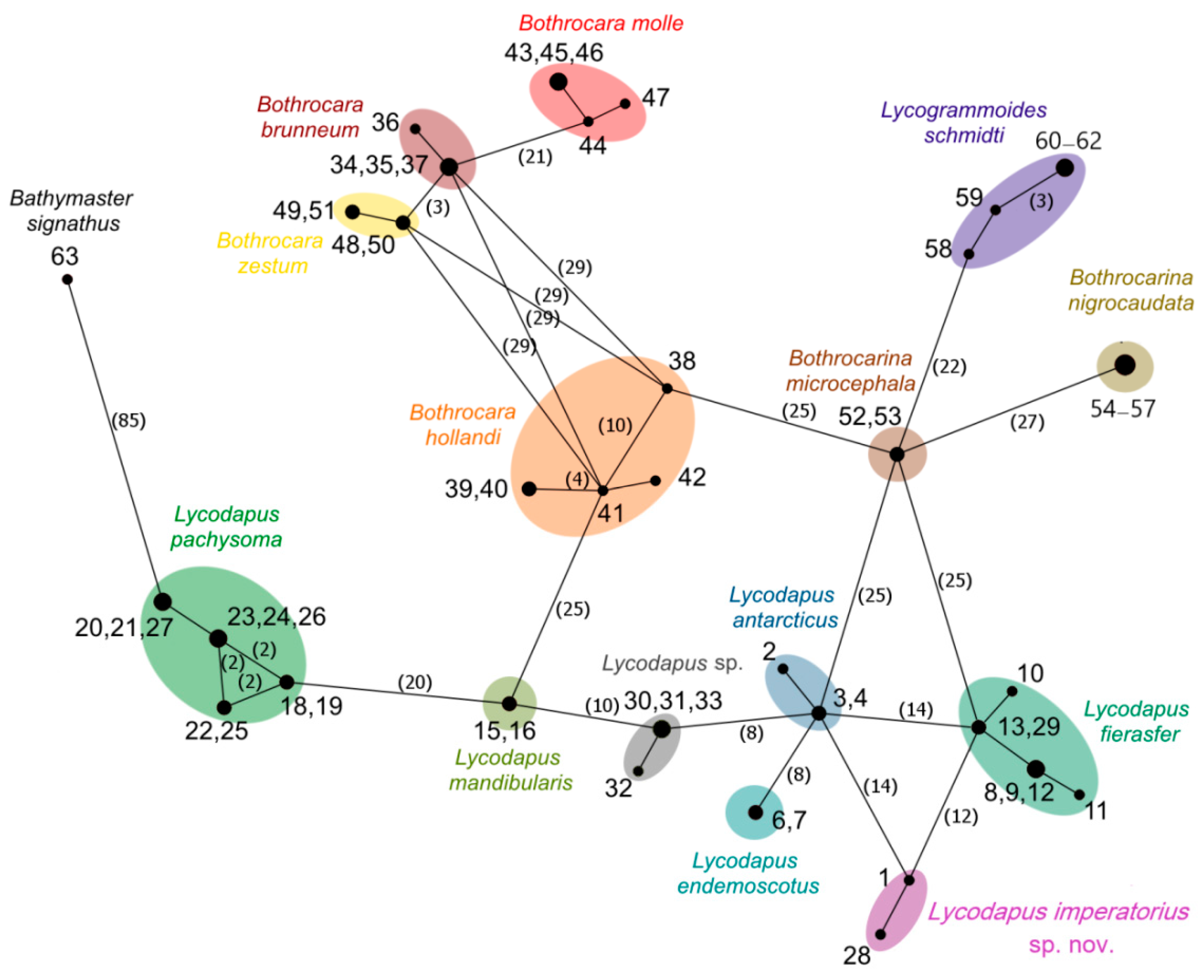 Diversity 14 00972 g003