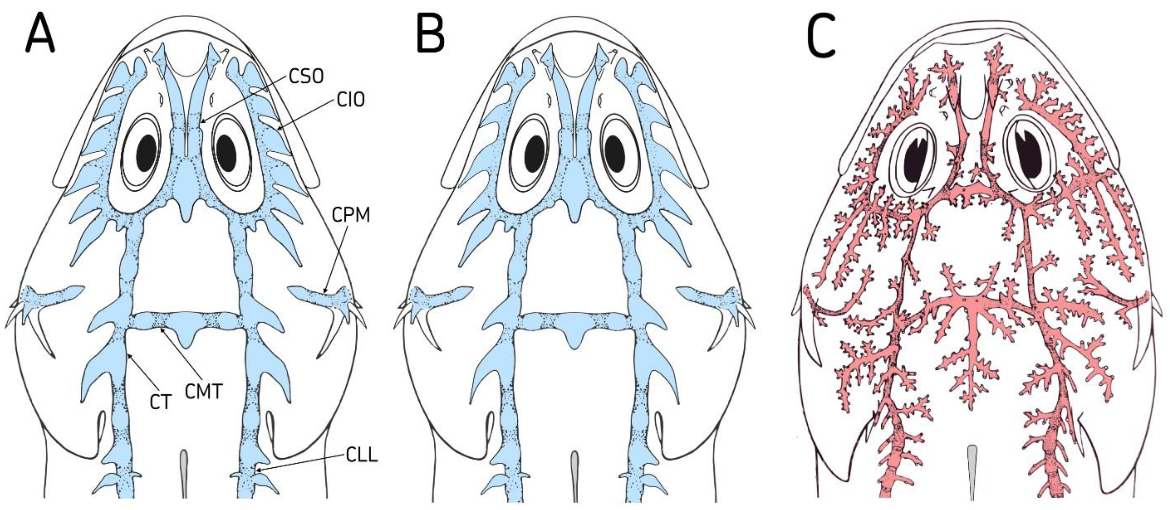 Diversity 14 00983 g004