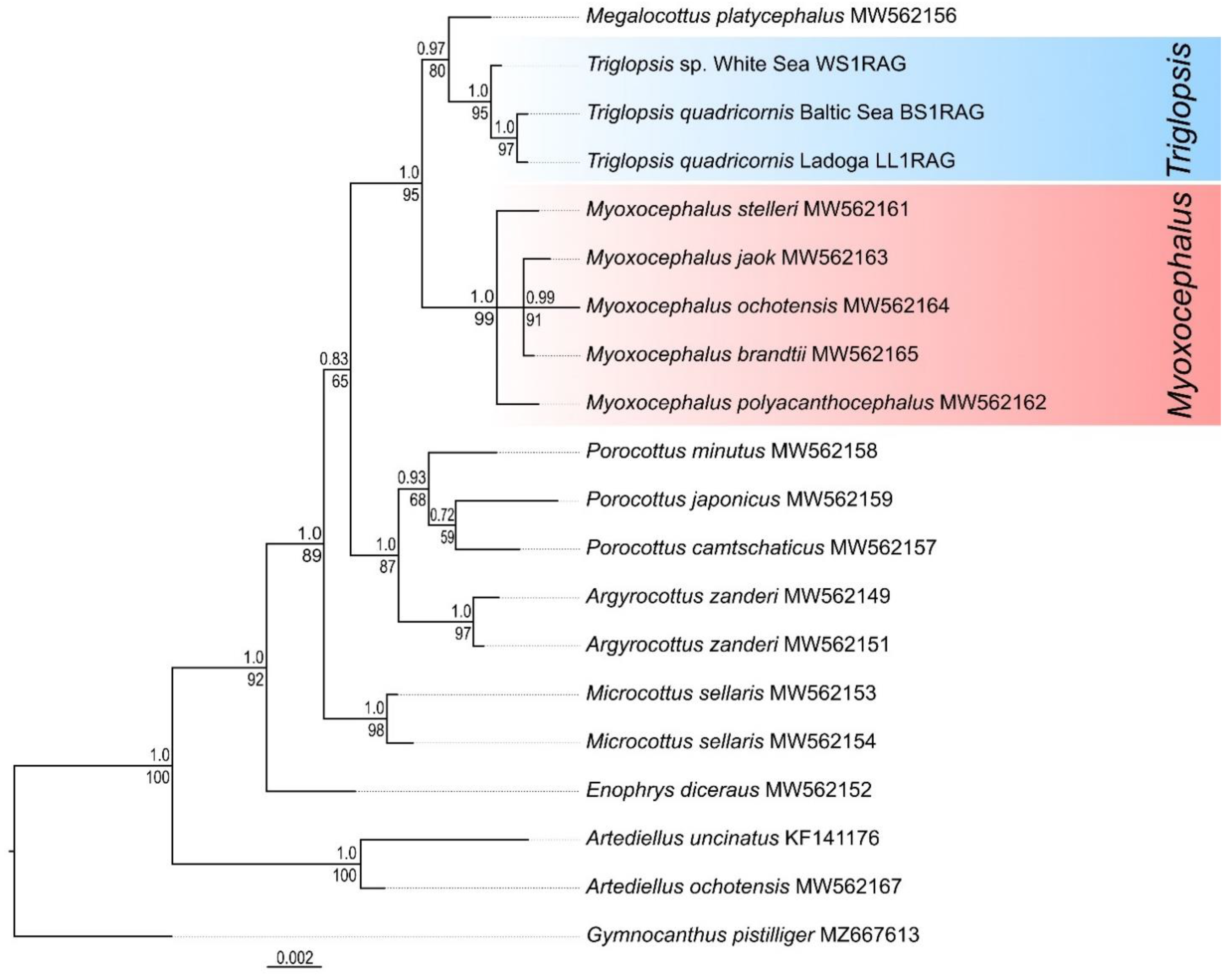 Diversity 14 00983 g008