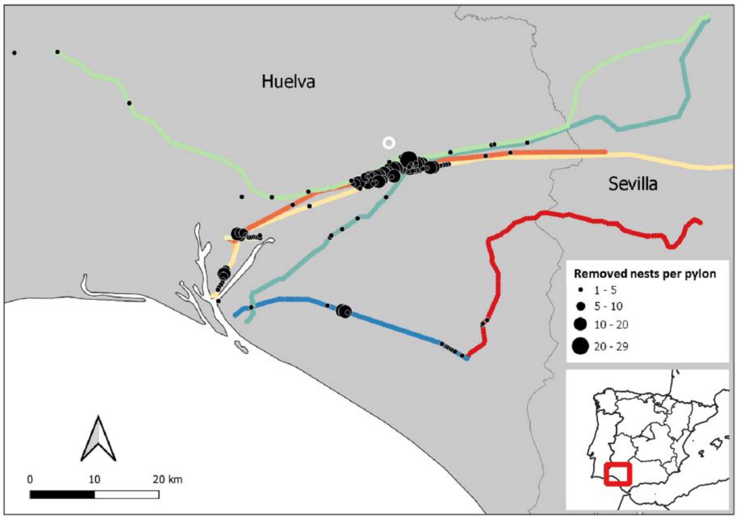 Diversity 14 00984 g001