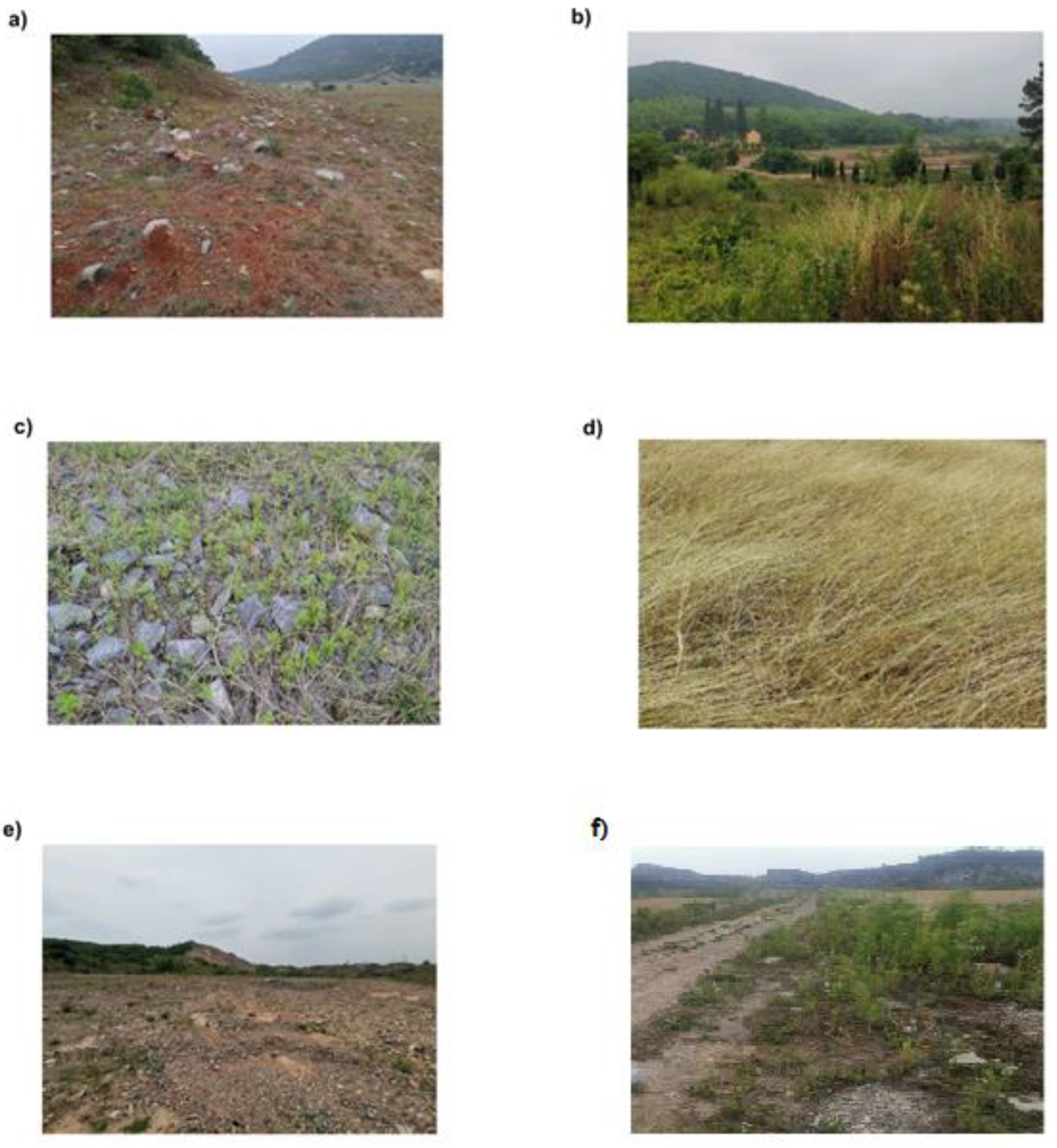 Diversity 14 00986 g002