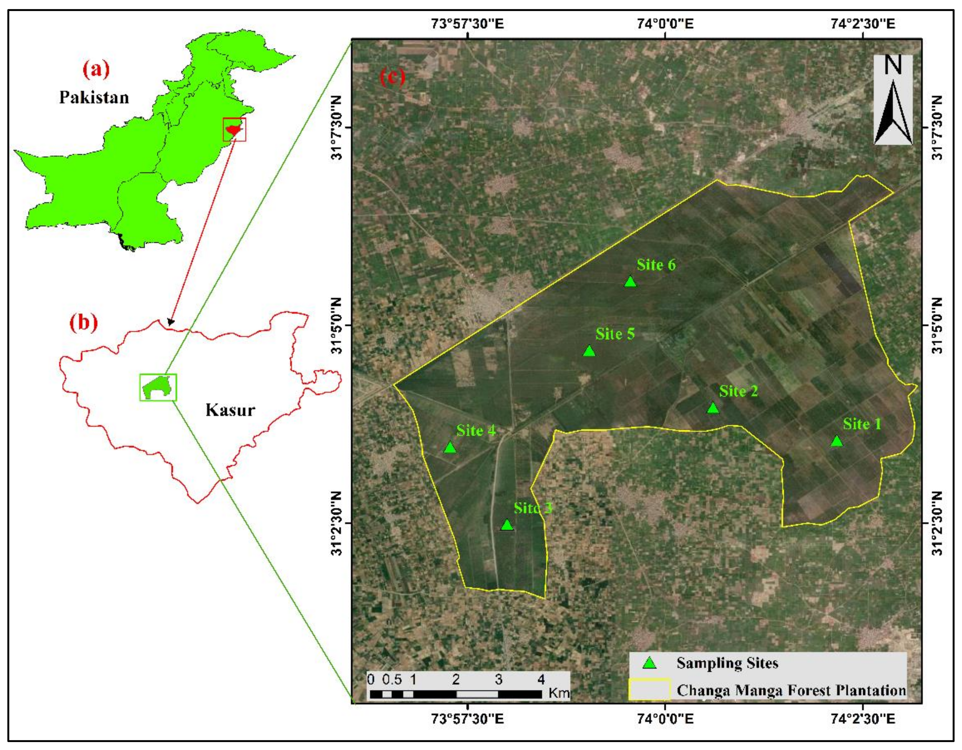 Diversity 14 00988 g001