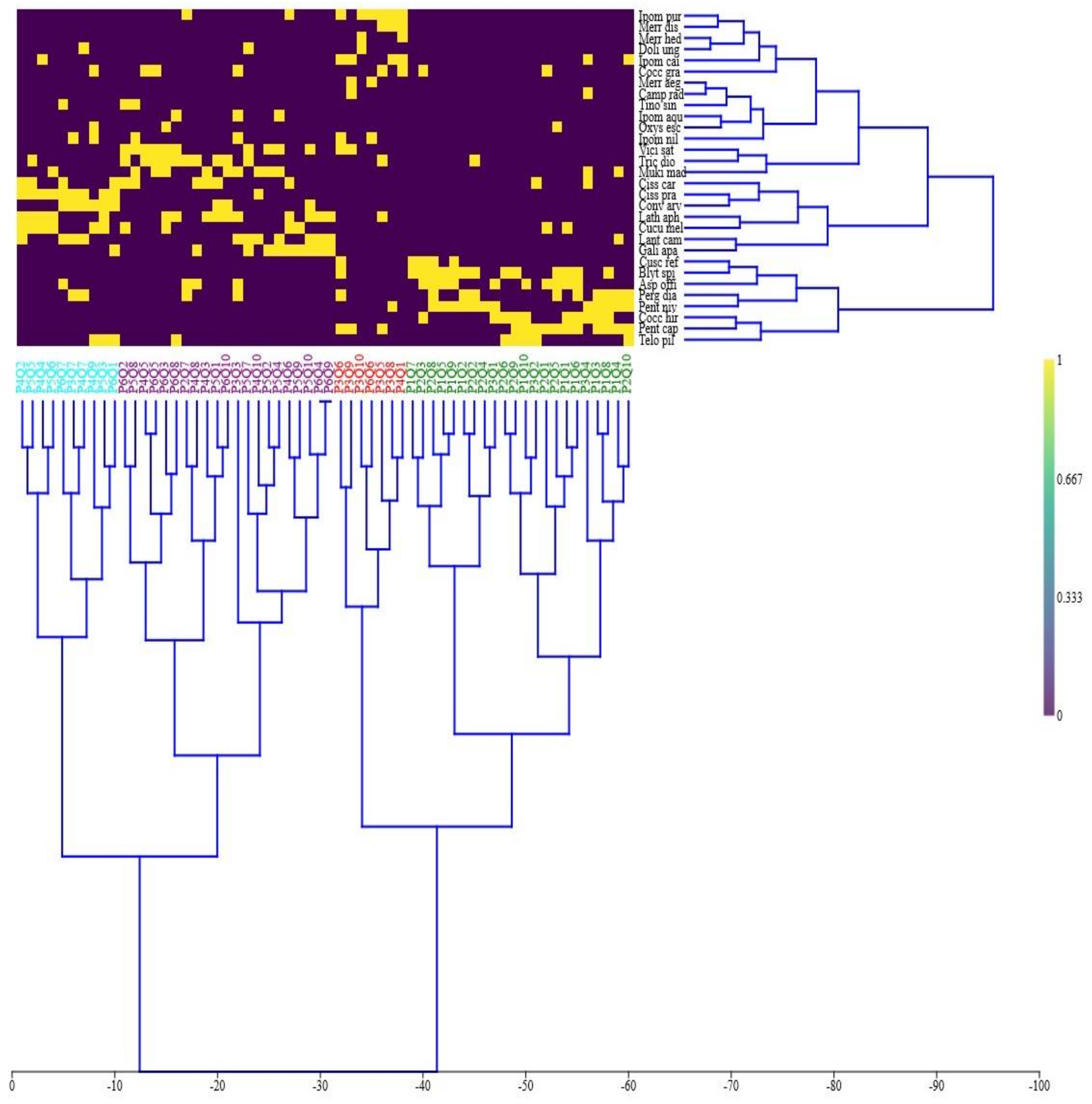 Diversity 14 00988 g004