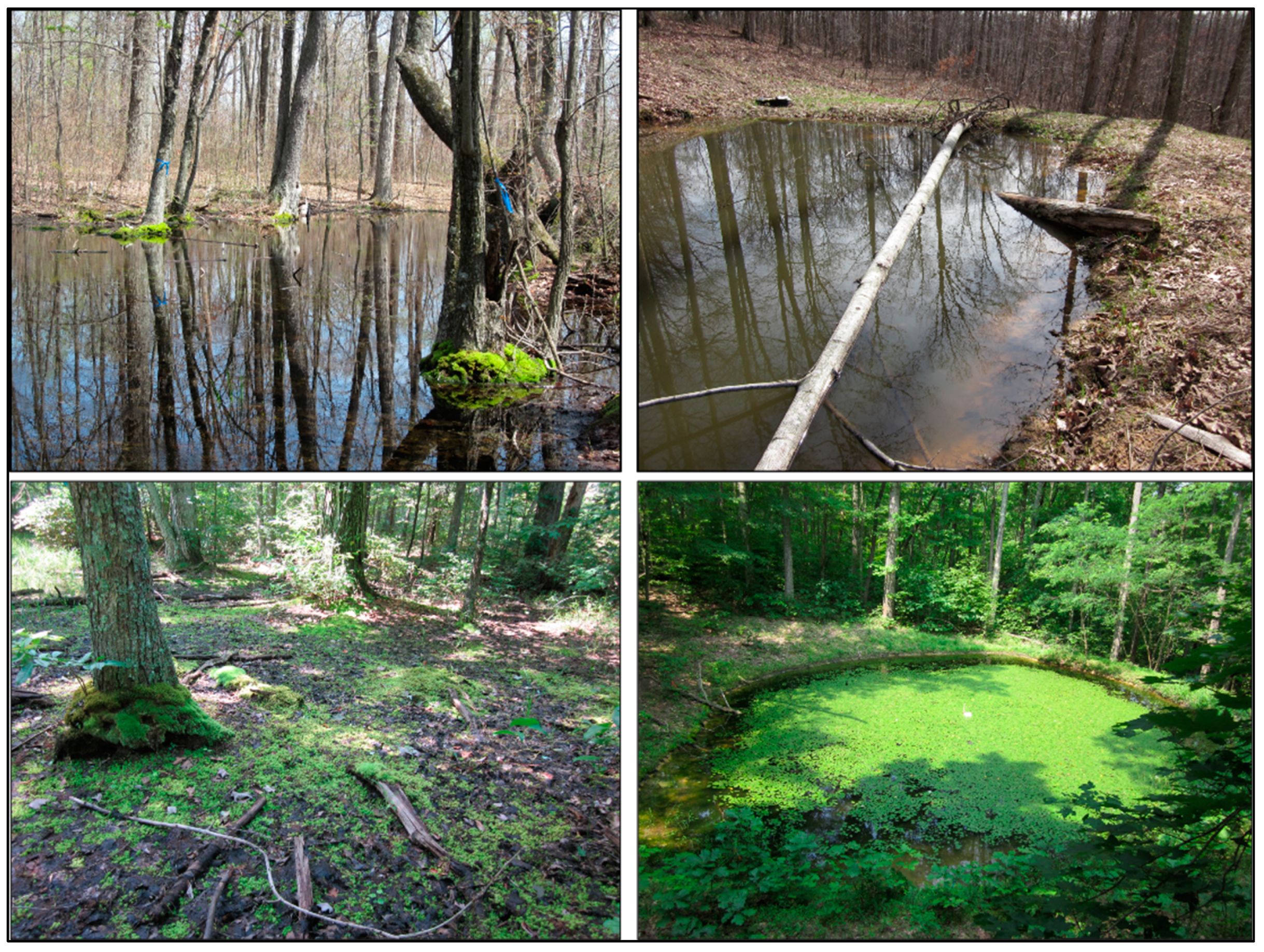 Diversity 14 00995 g001