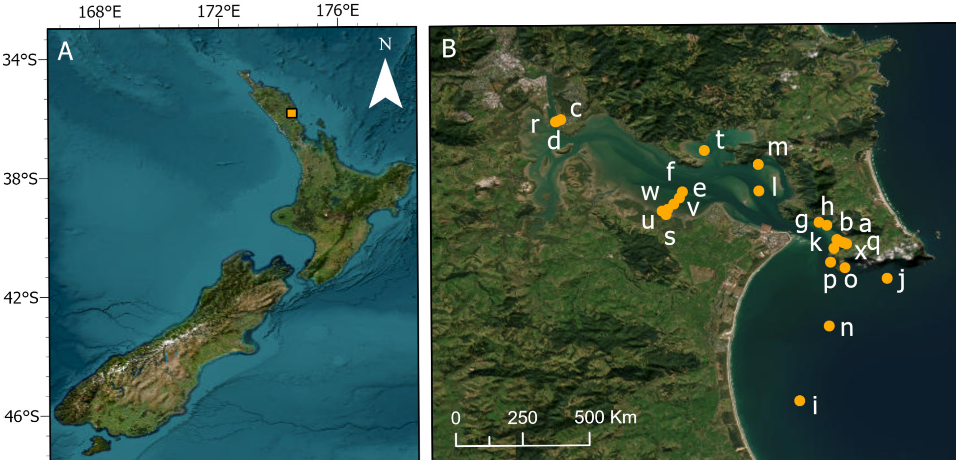 Diversity 14 00998 g001