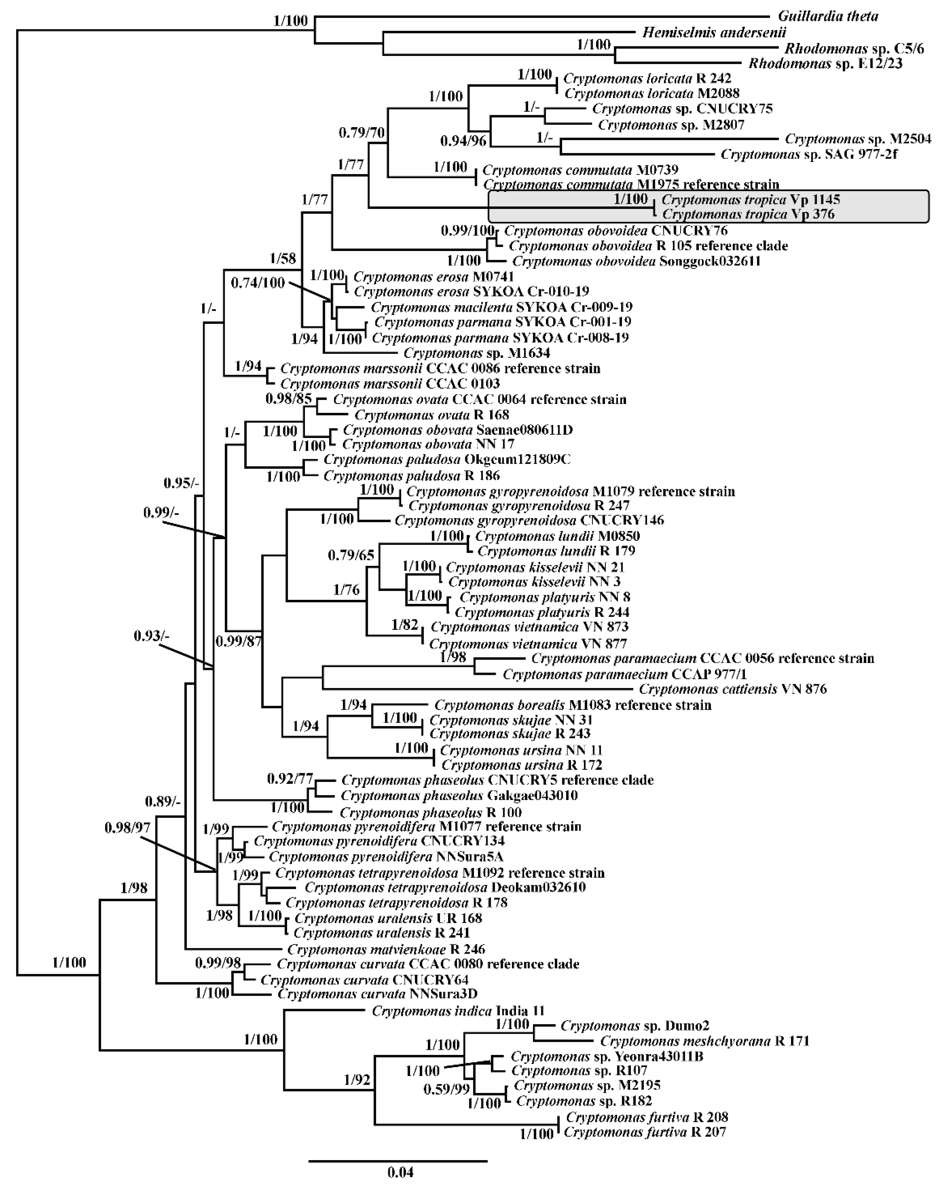 Diversity 14 01001 g003