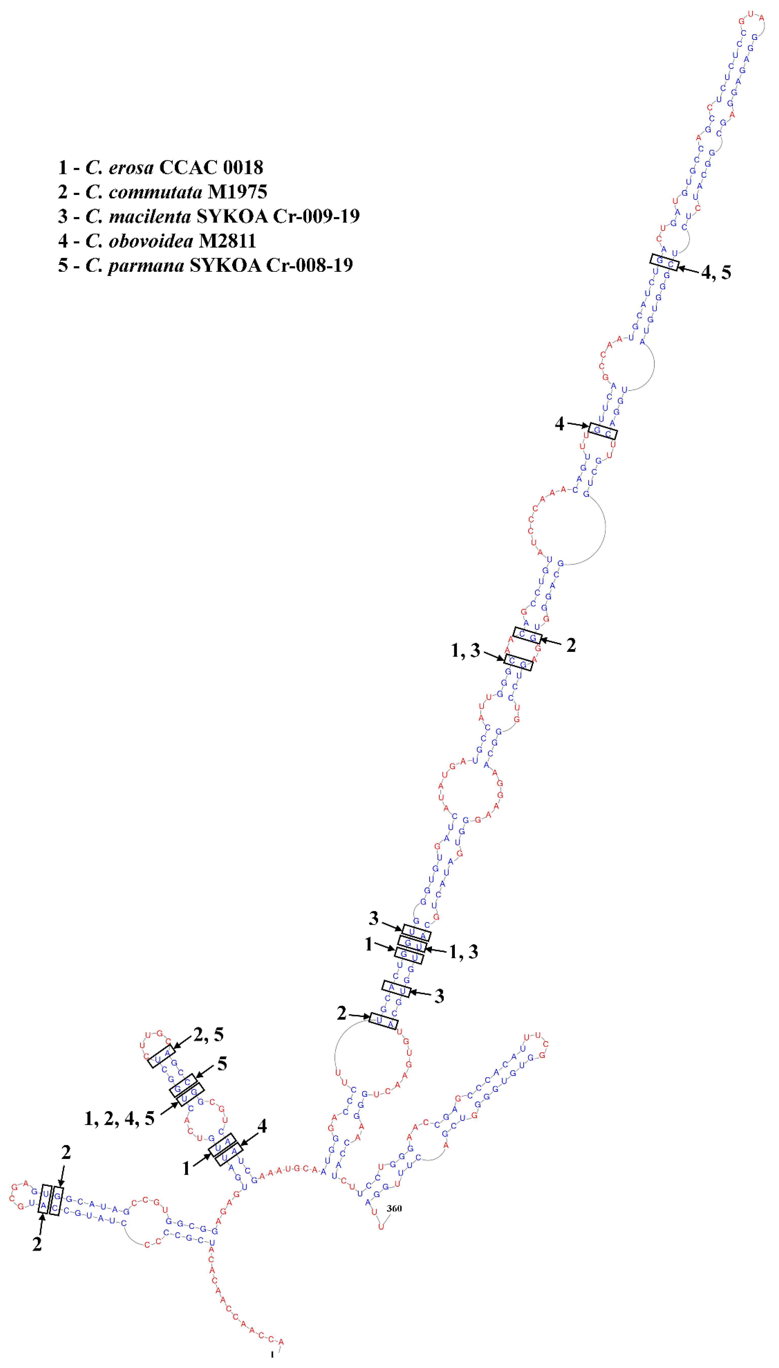 Diversity 14 01001 g004