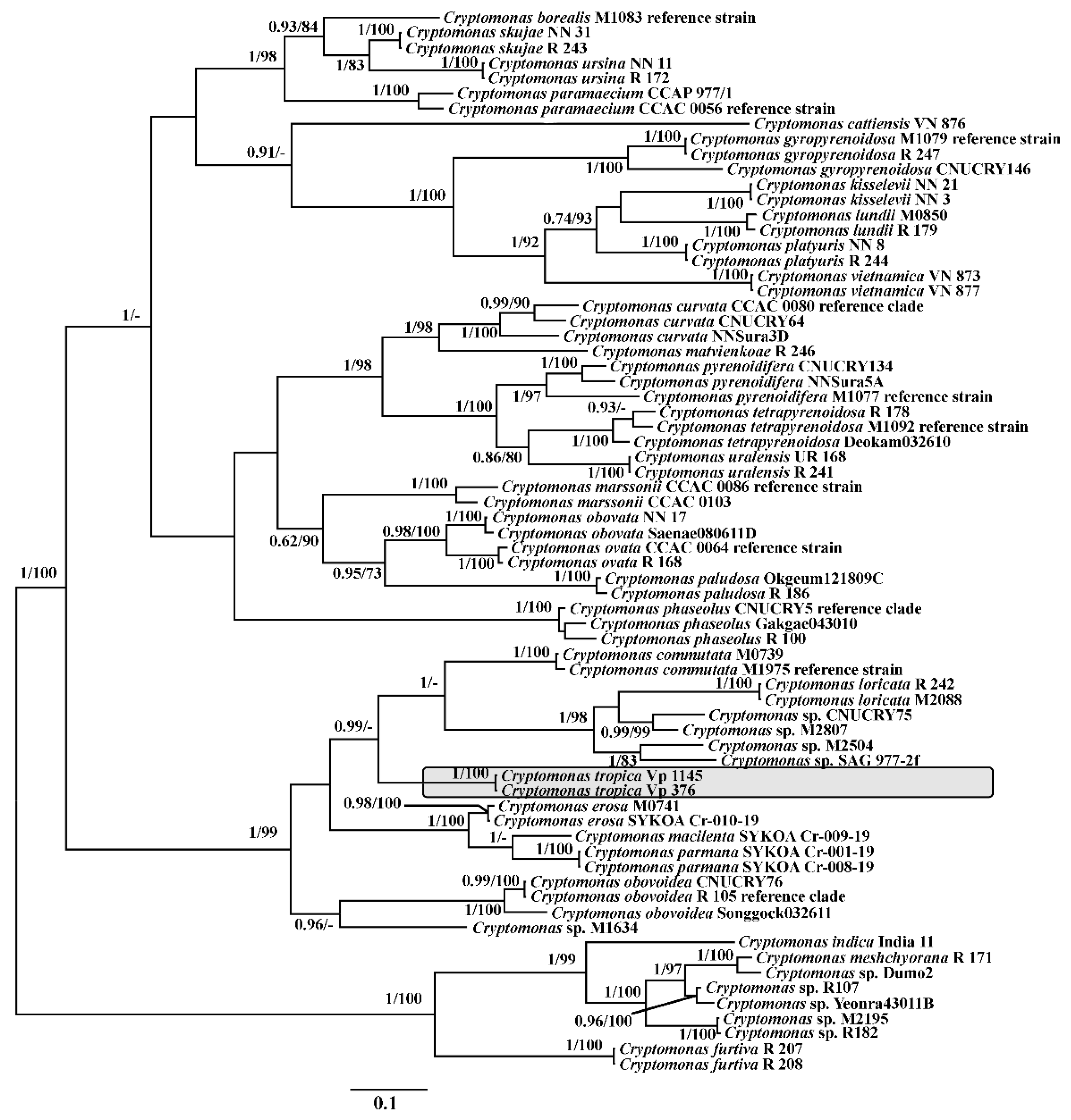 Diversity 14 01001 g005