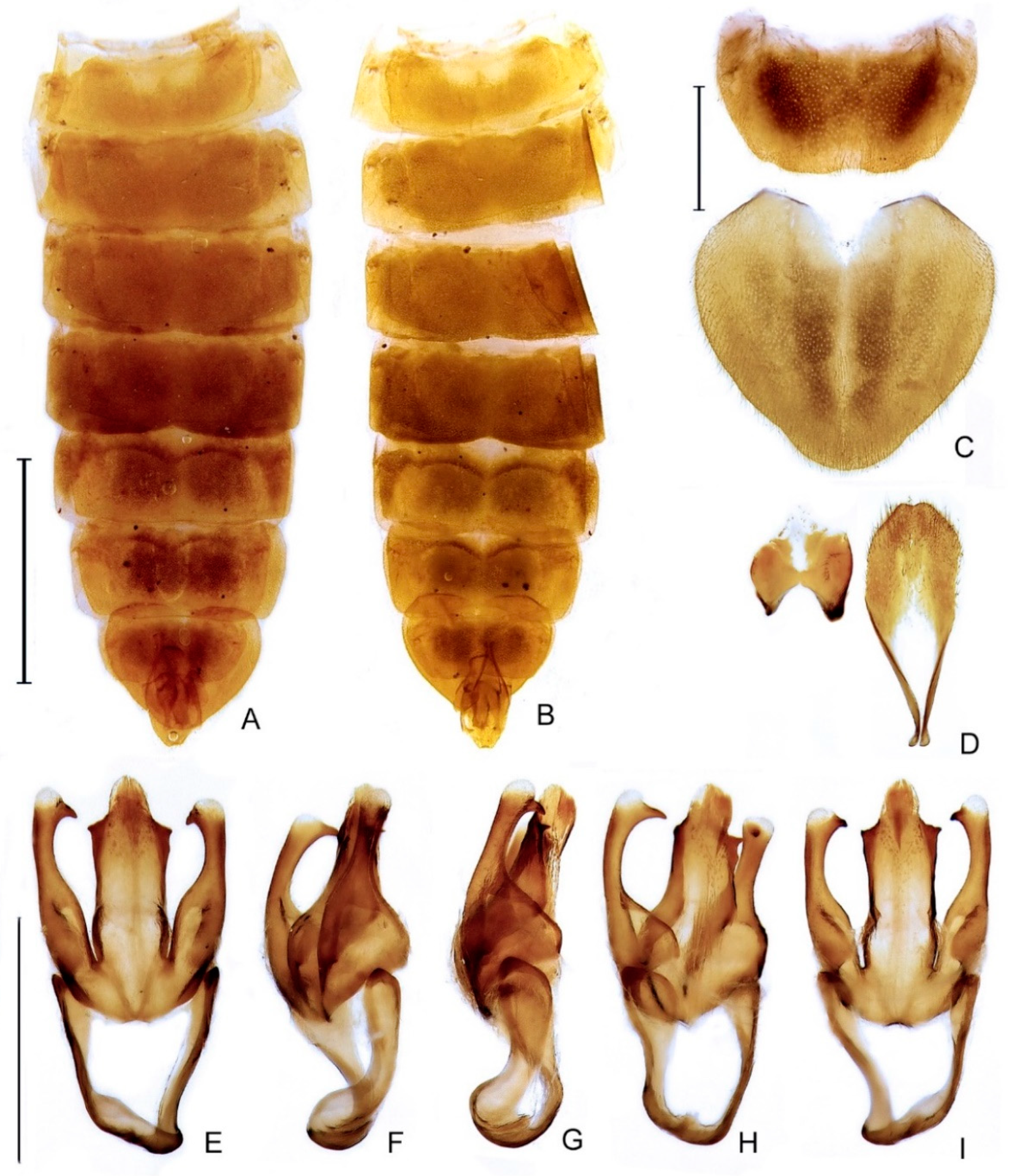 Diversity 14 01005 g006