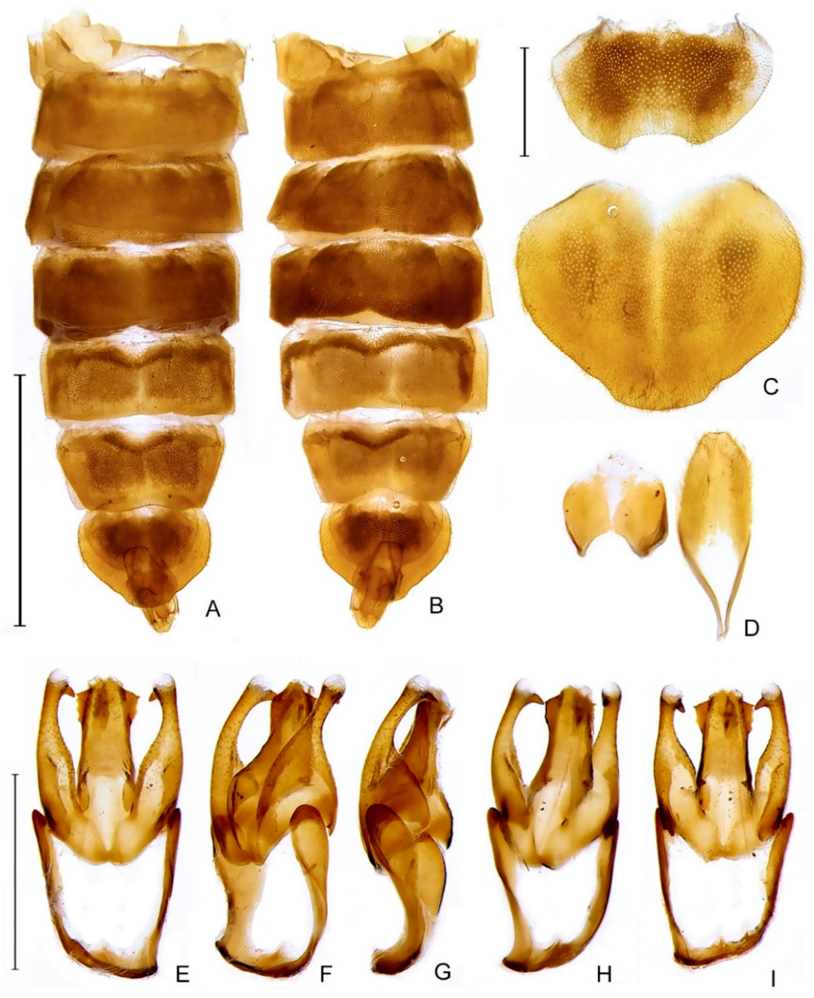 Diversity 14 01005 g009