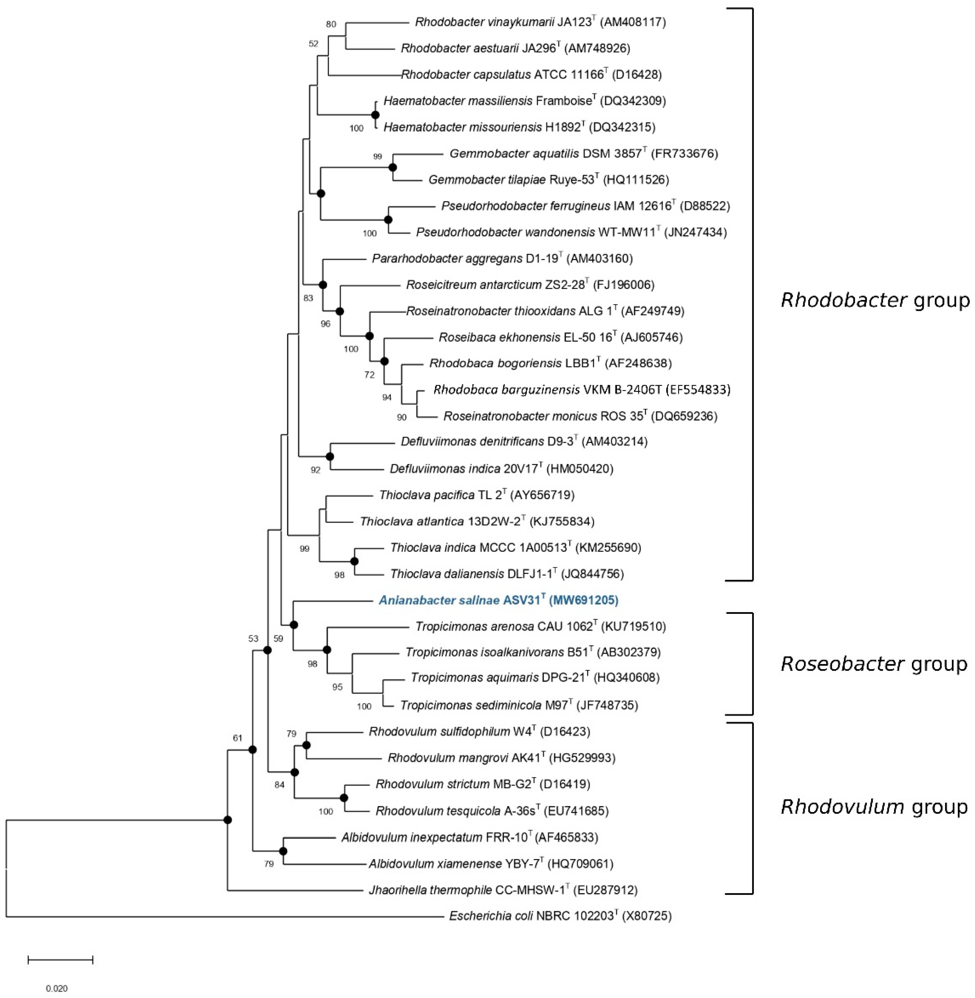 Diversity 14 01009 g001