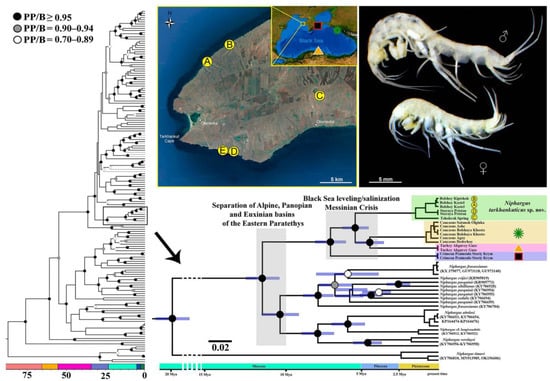 Diversity 14 01010 g001