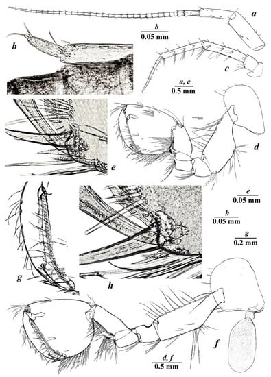Diversity 14 01010 g003