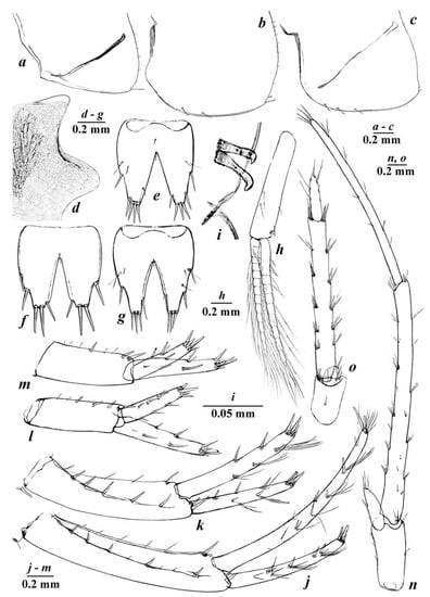 Diversity 14 01010 g006