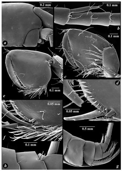 Diversity 14 01010 g007