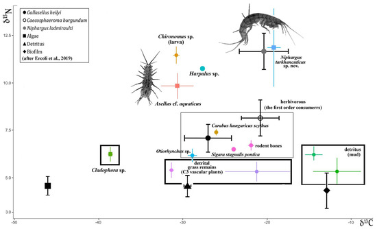 Diversity 14 01010 g008