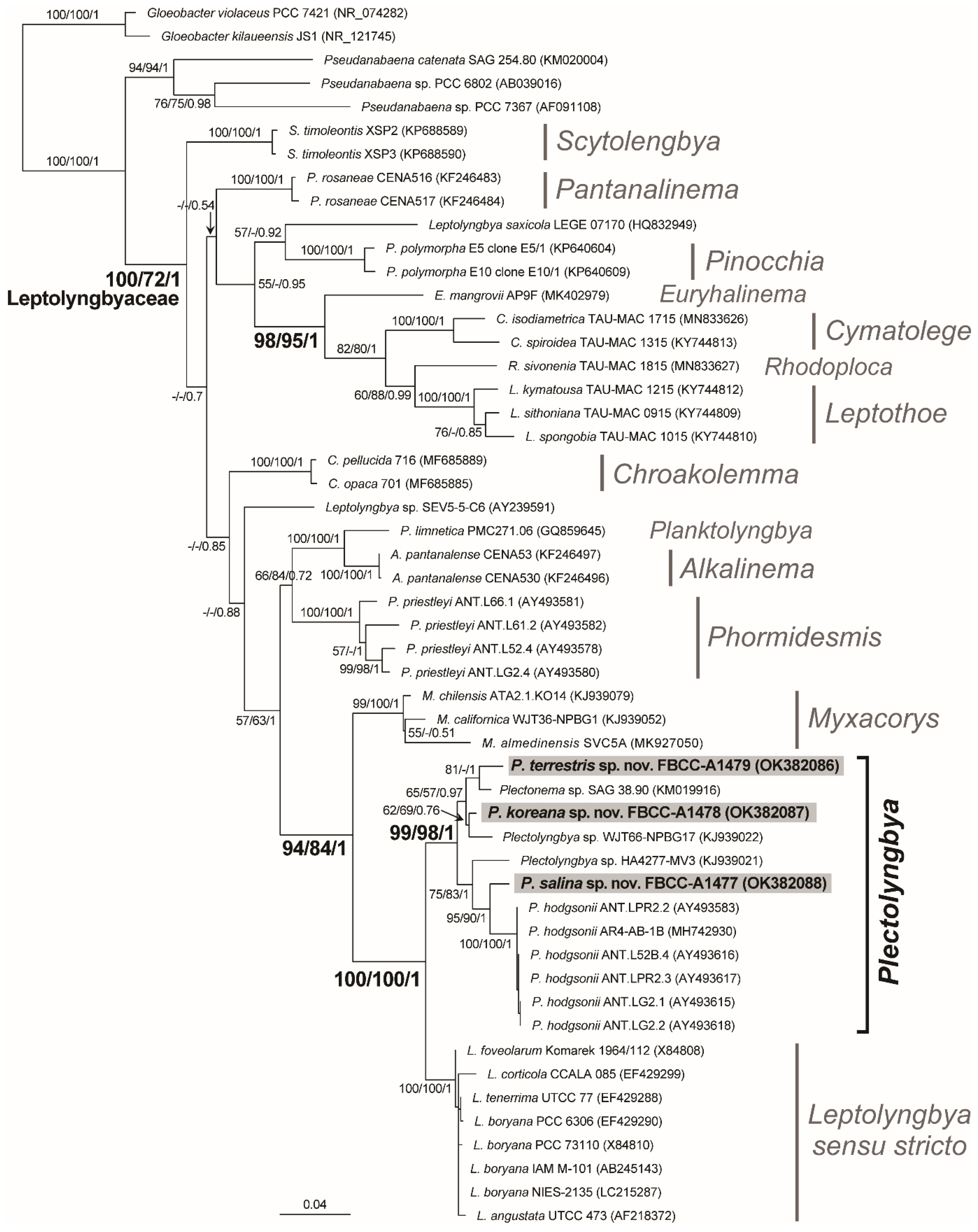 Diversity 14 01013 g008
