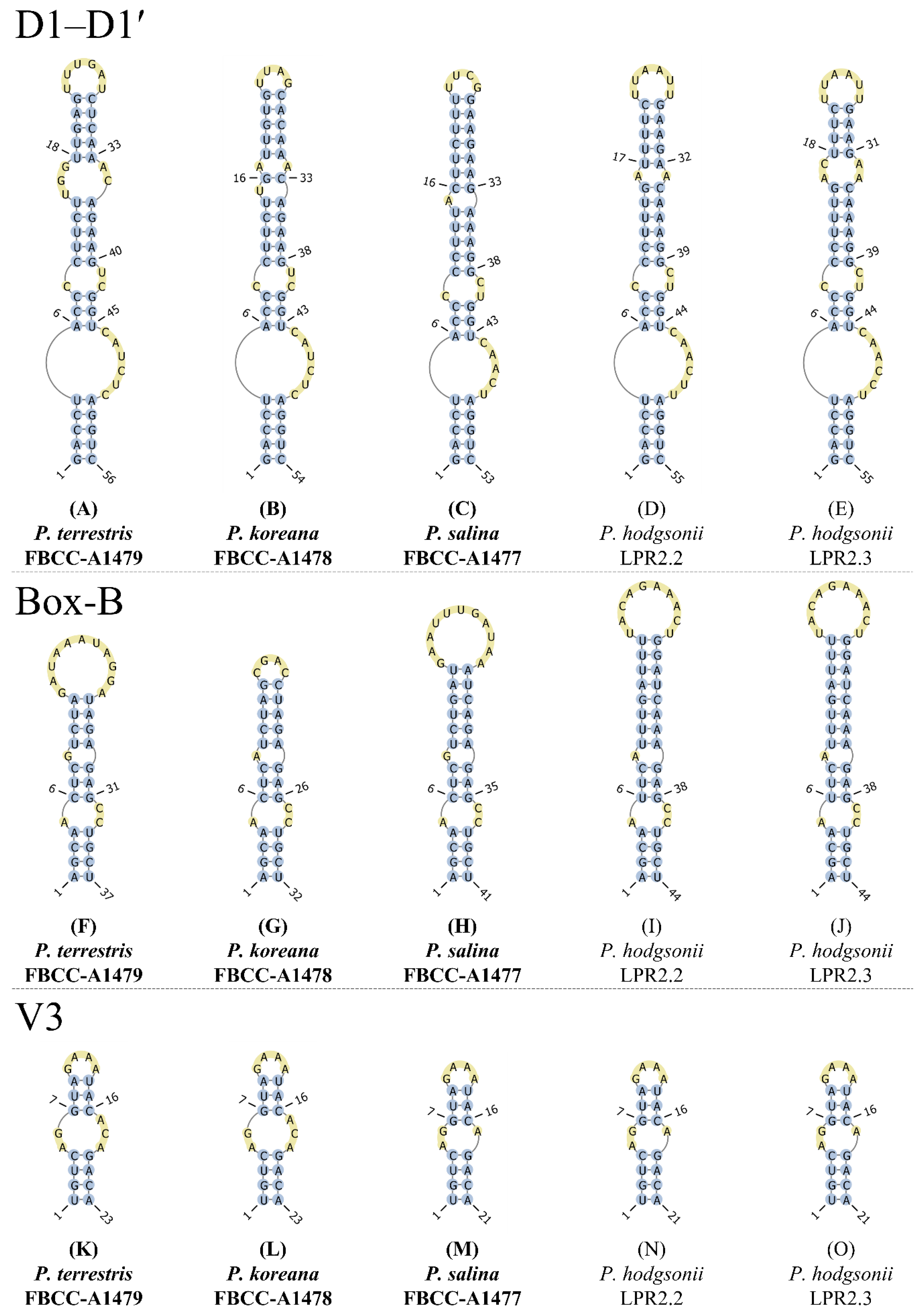 Diversity 14 01013 g009
