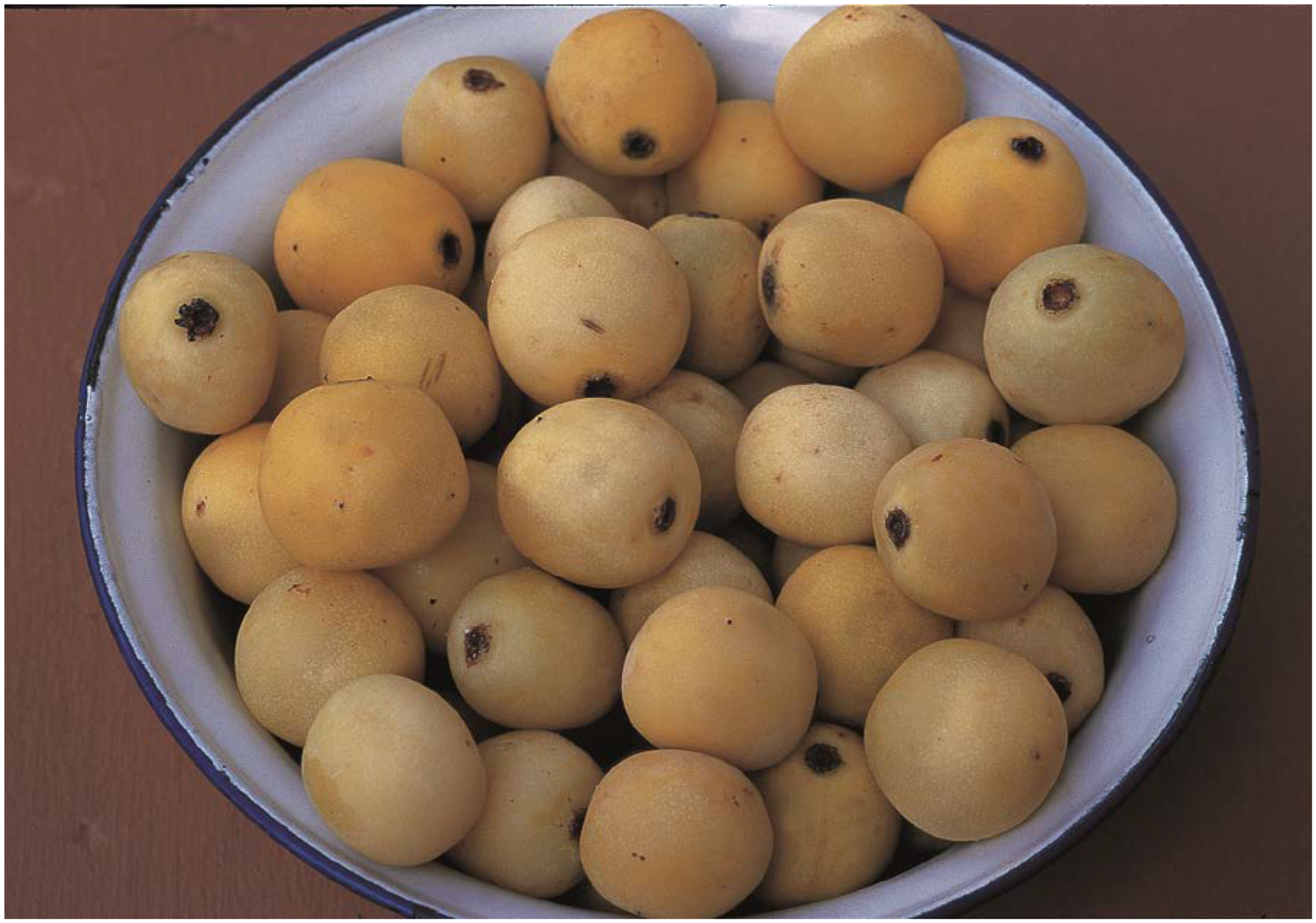 Diversity 14 01014 g001