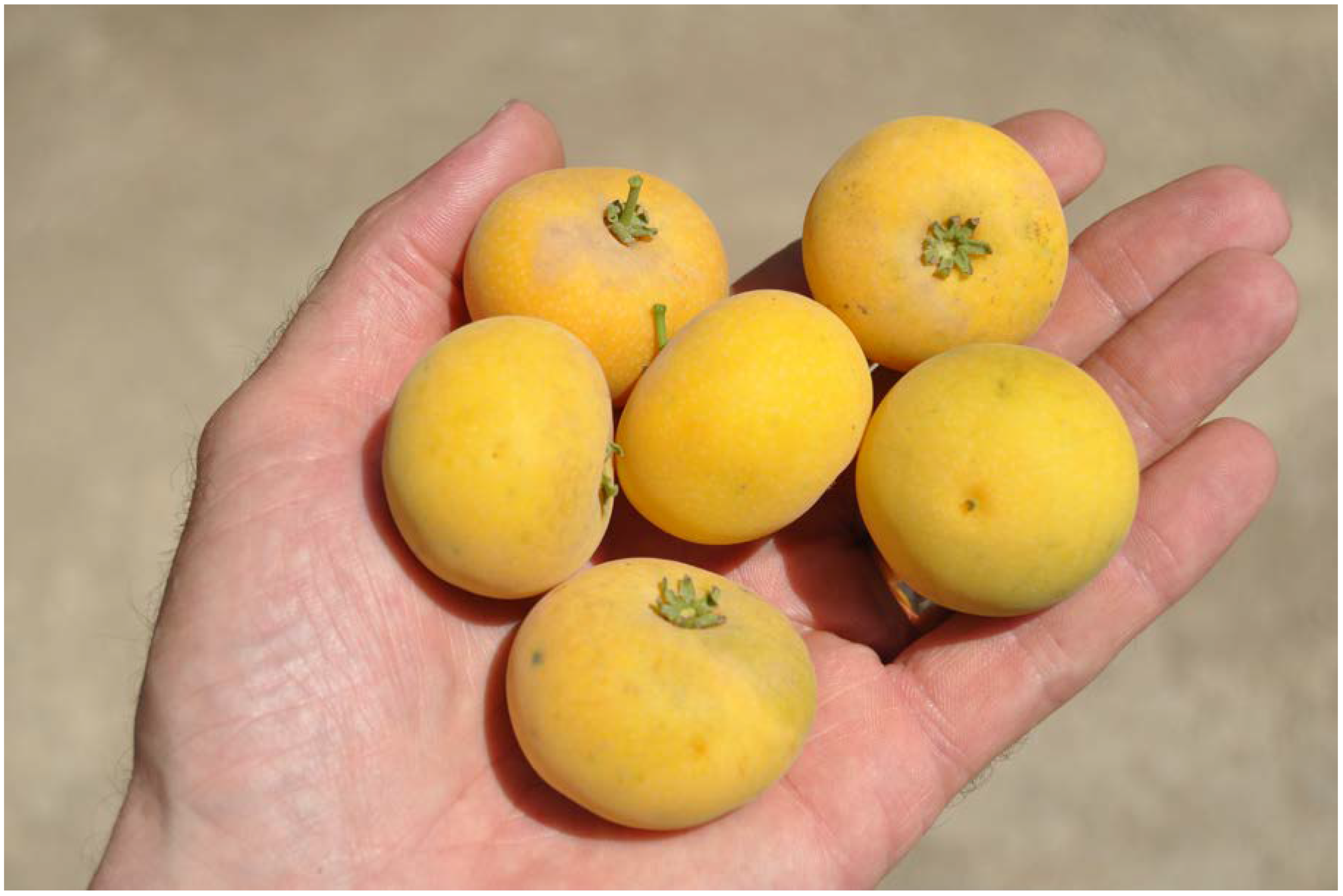 Diversity 14 01014 g002