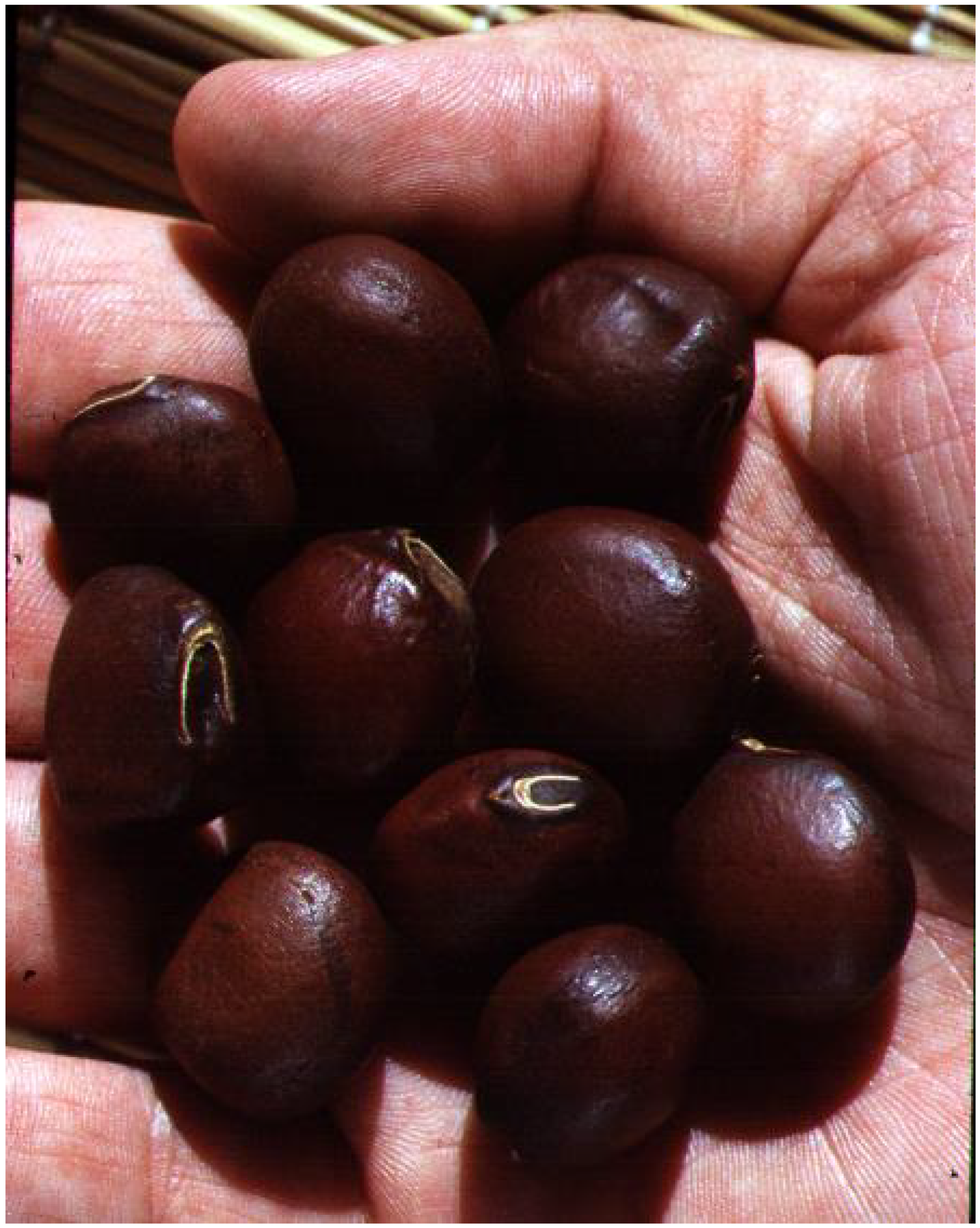 Diversity 14 01014 g003