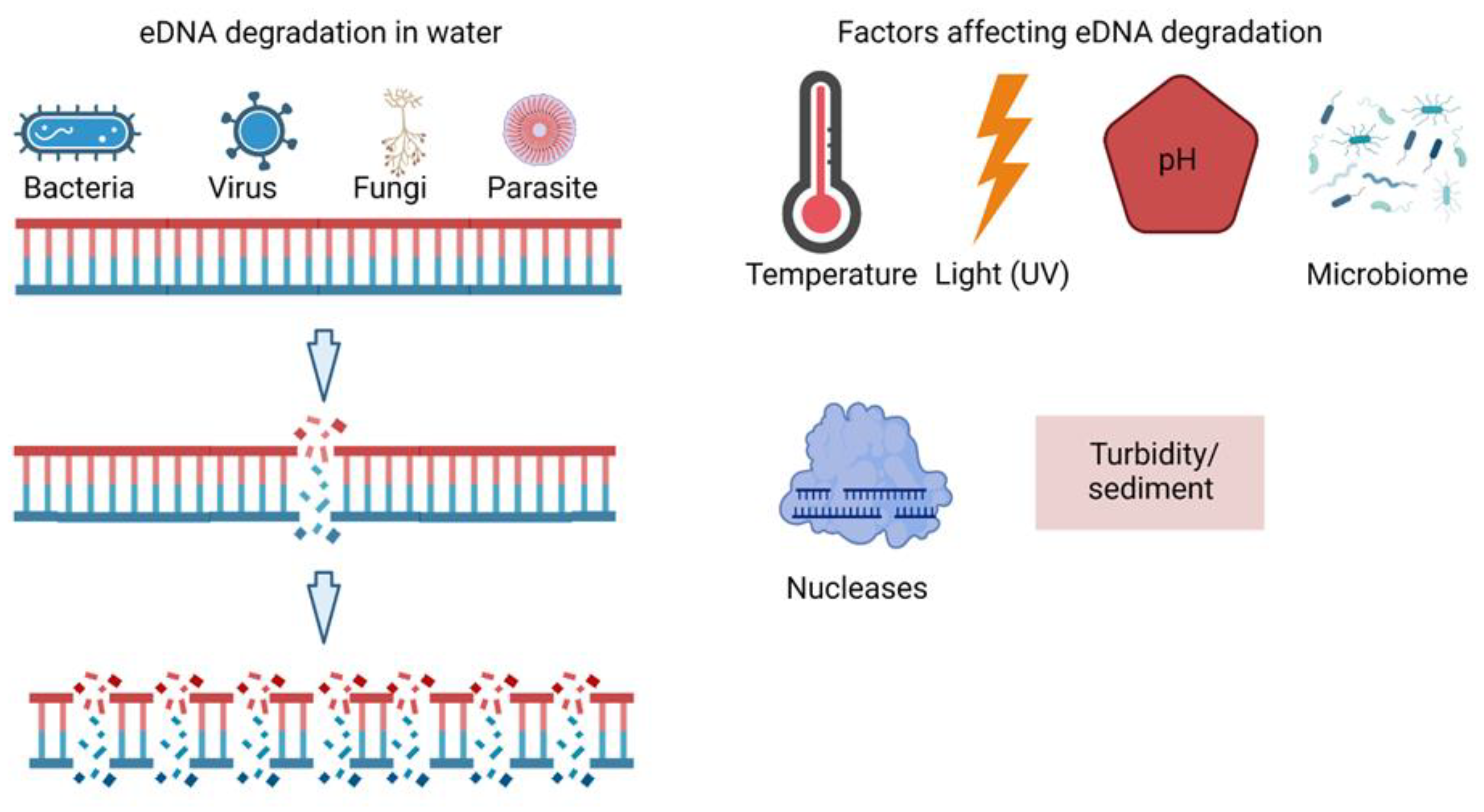 Diversity 14 01015 g002