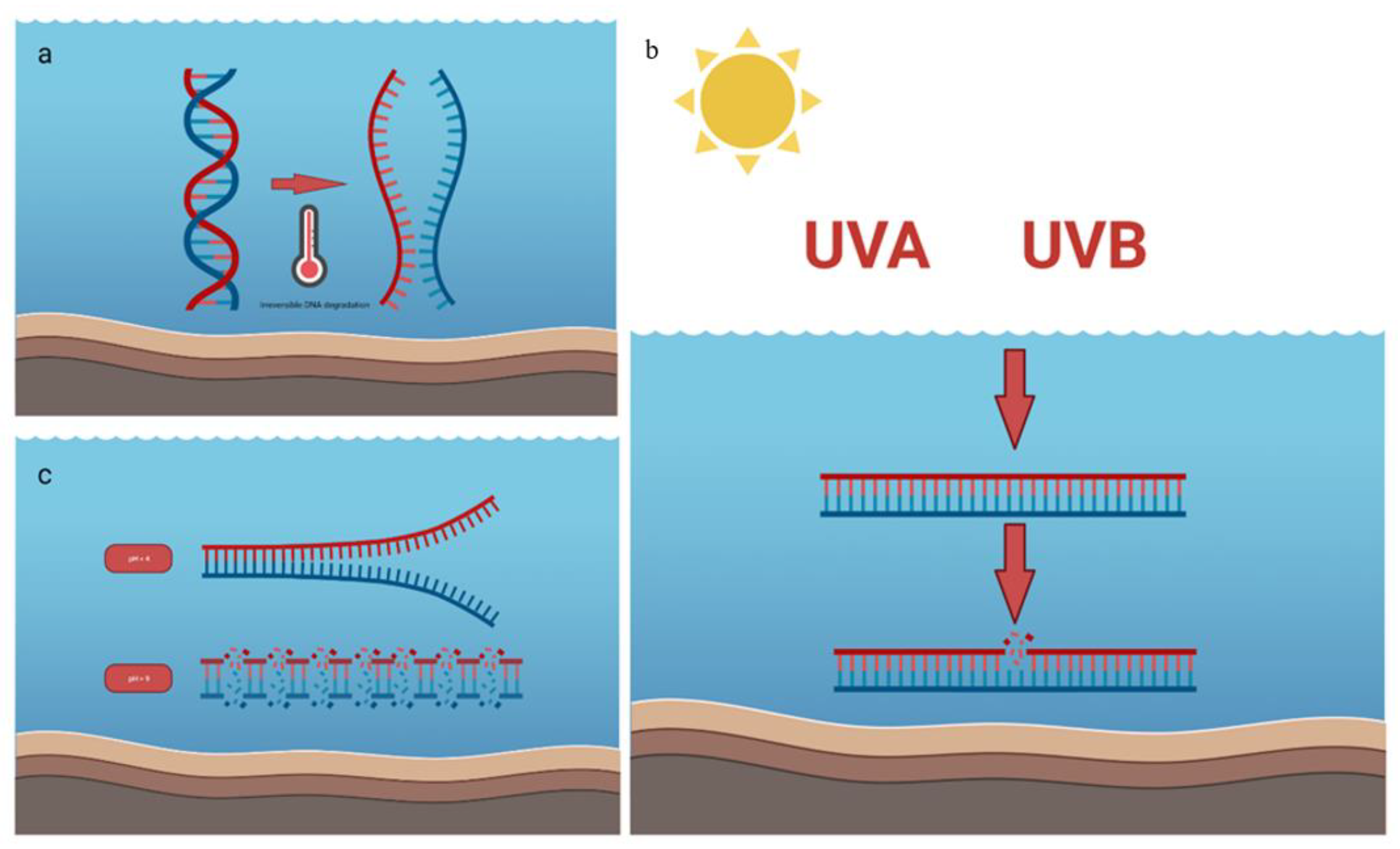 Diversity 14 01015 g003