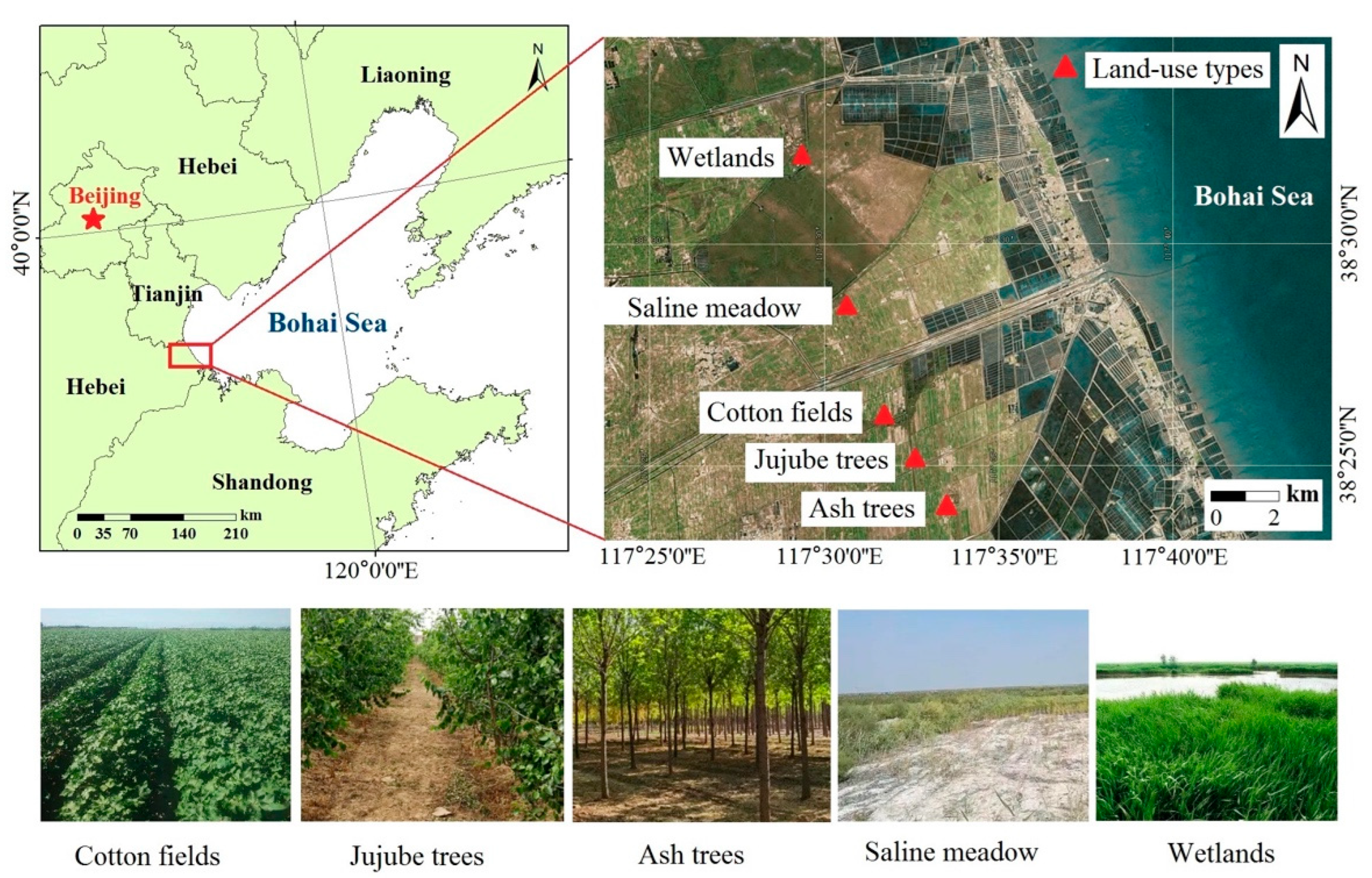 Diversity 14 01035 g001