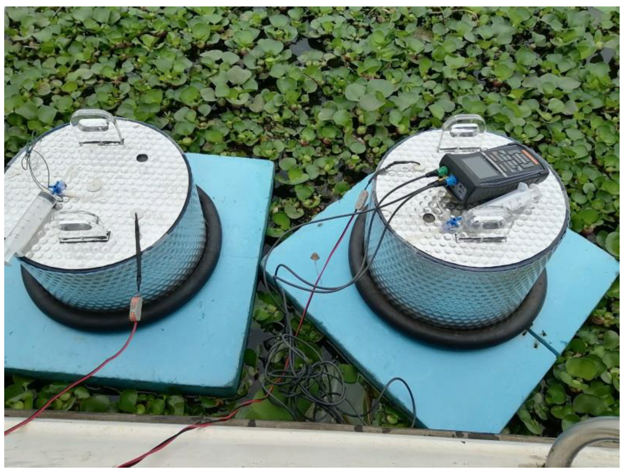 Diversity 14 01036 g002