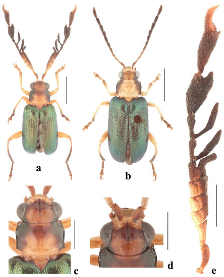 Diversity 14 01041 g002