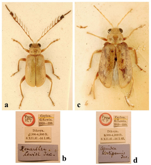 Diversity 14 01041 g004