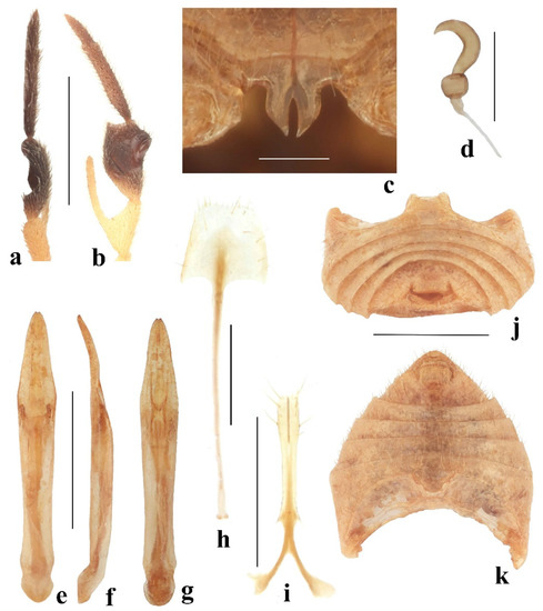 Diversity 14 01041 g006