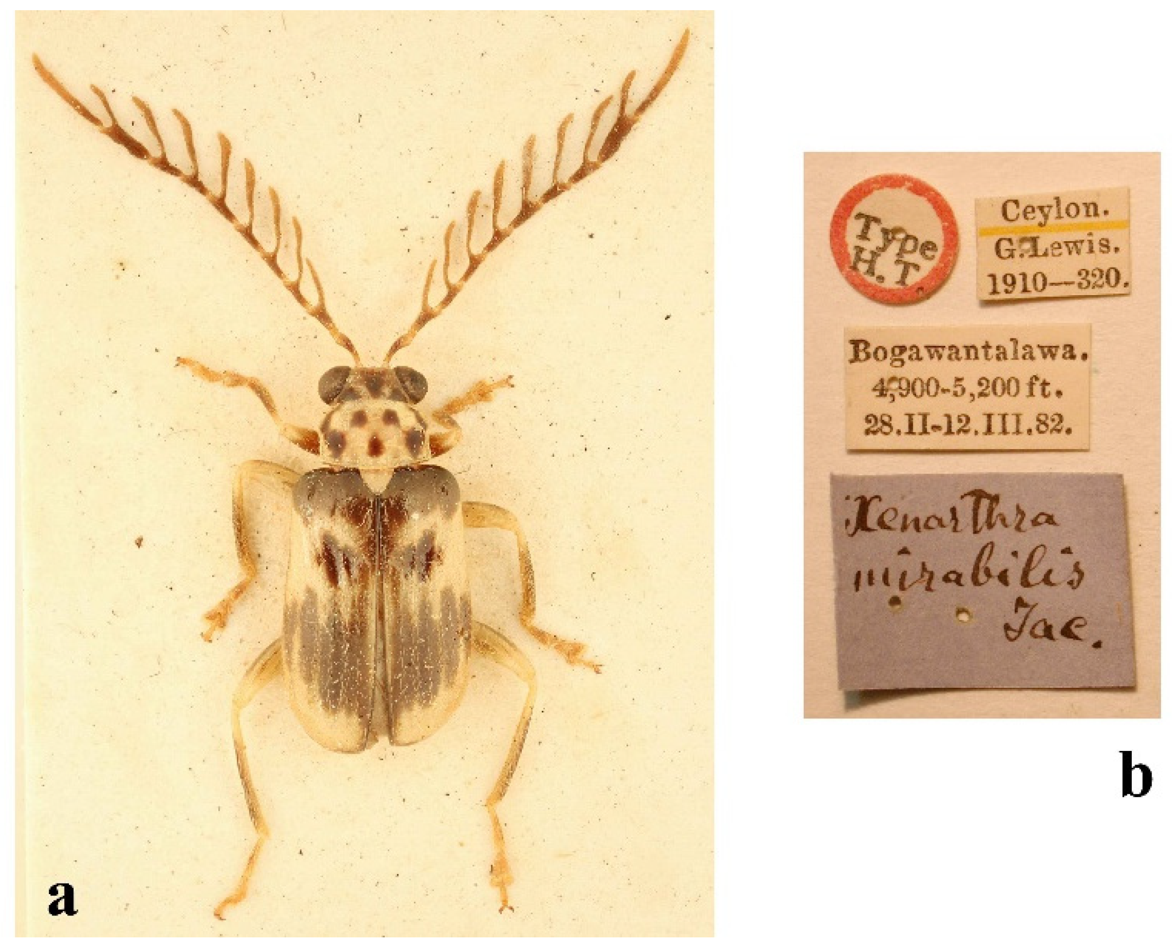 Diversity 14 01041 g007