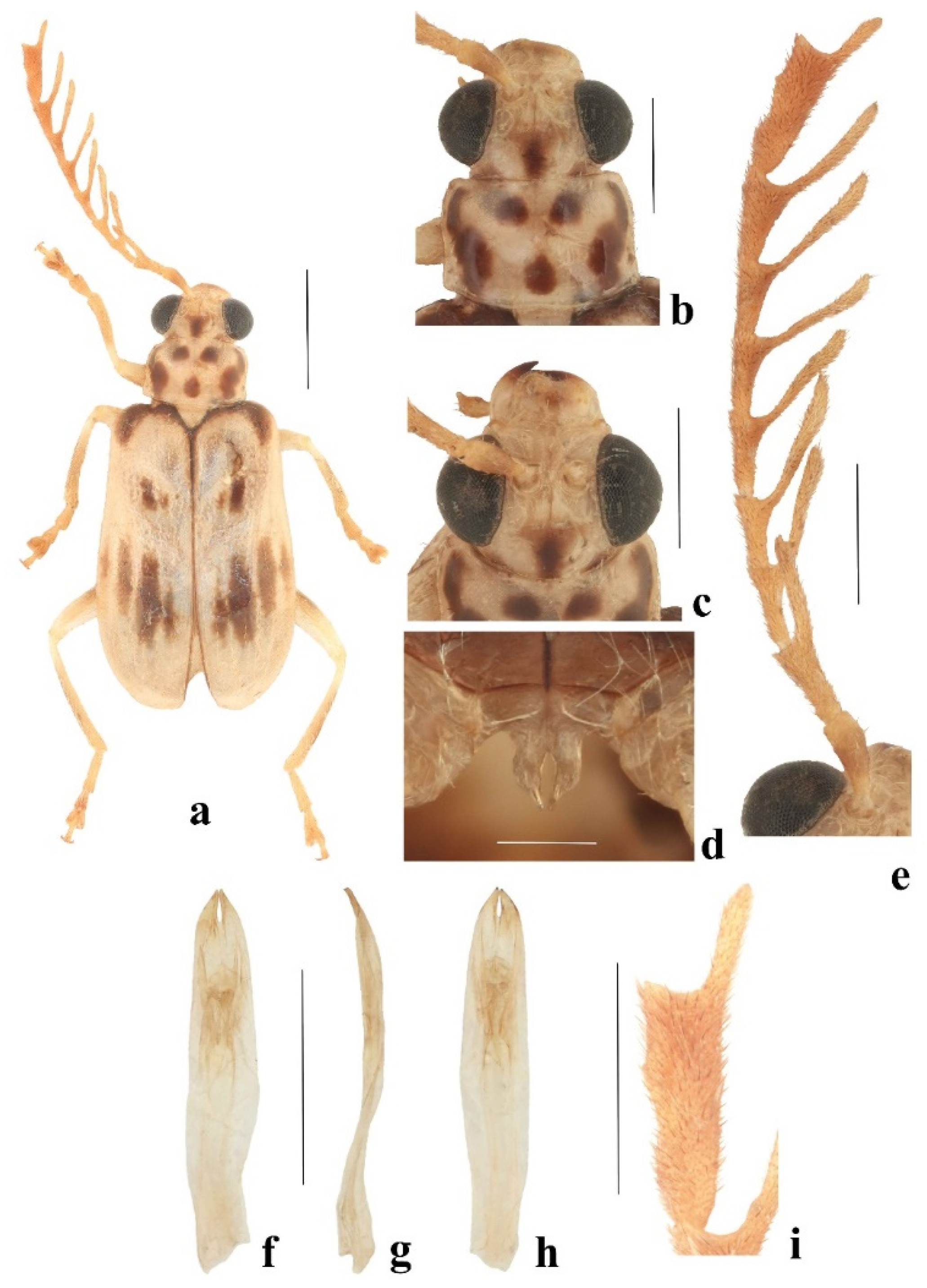 Diversity 14 01041 g008