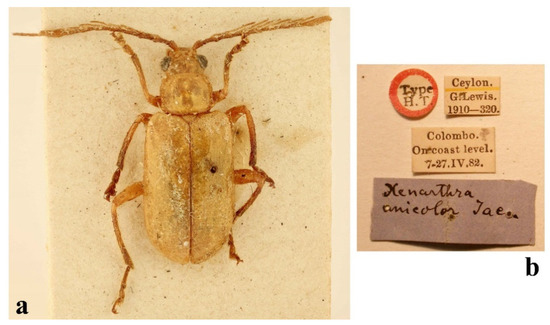 Diversity 14 01041 g009