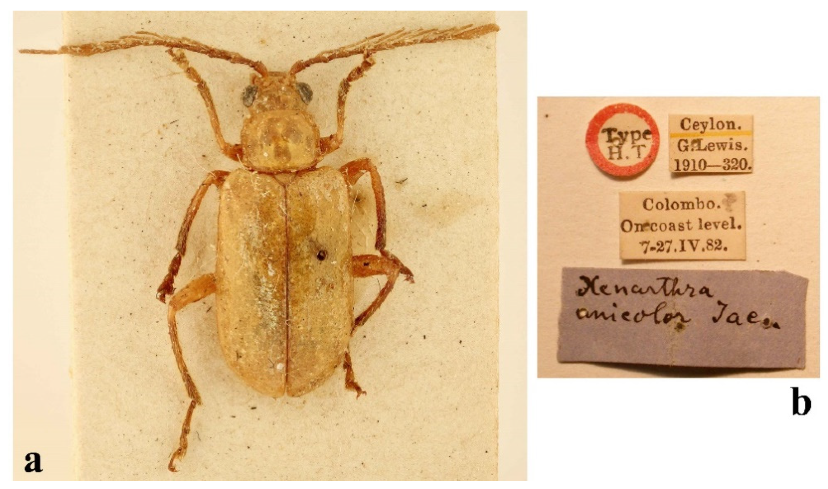 Diversity 14 01041 g009