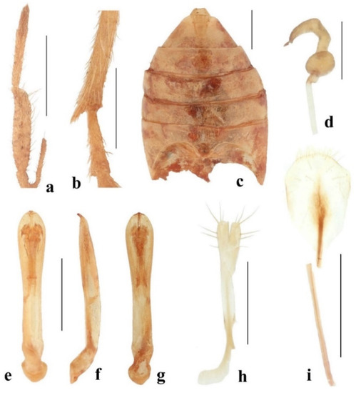 Diversity 14 01041 g011