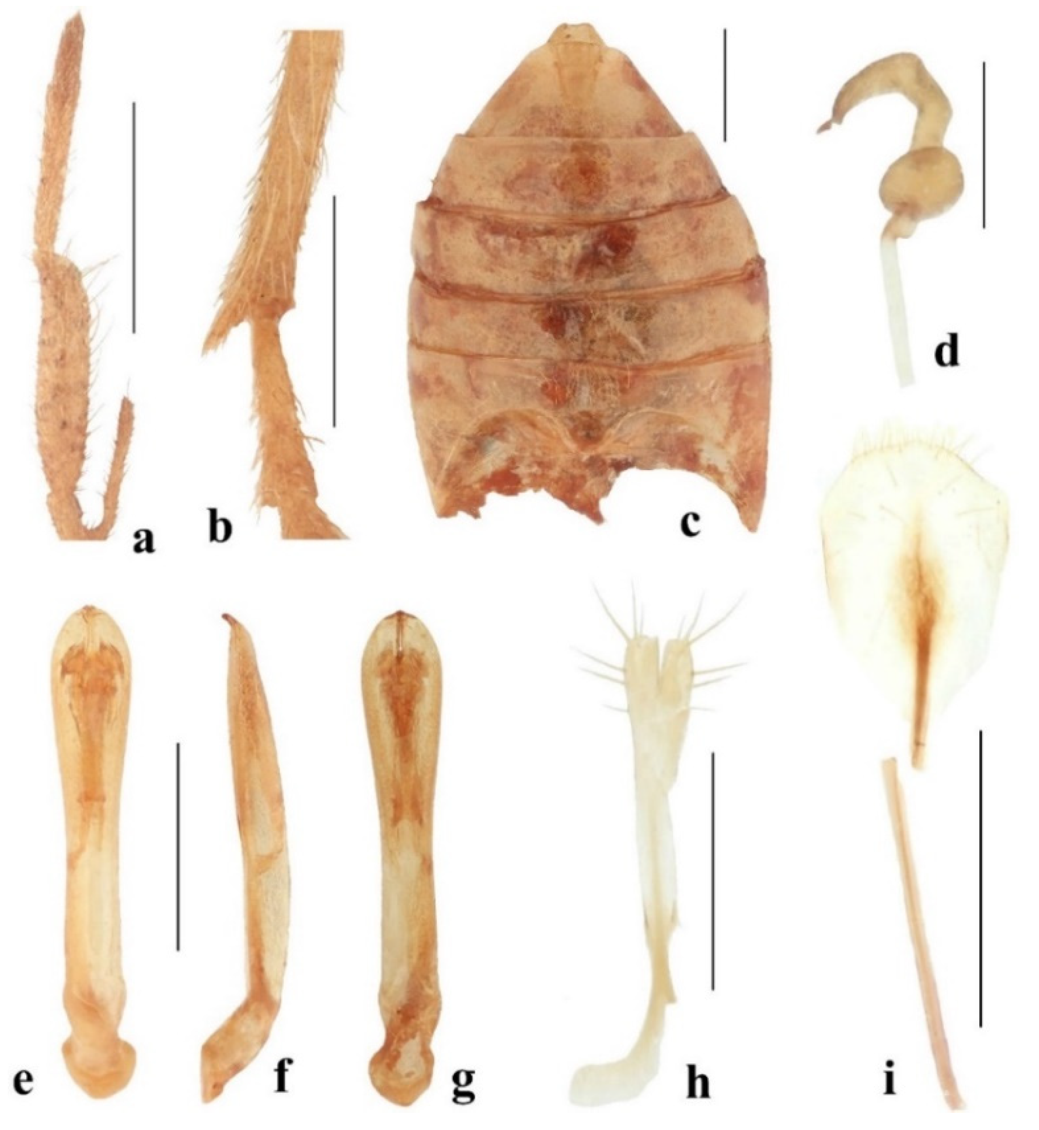 Diversity 14 01041 g011