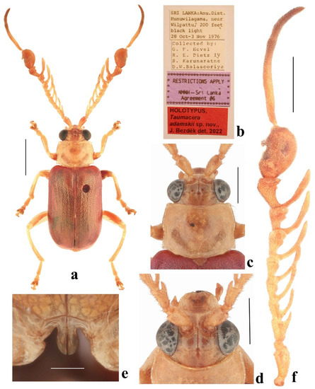 Diversity 14 01041 g012