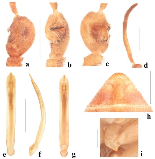 Diversity 14 01041 g013