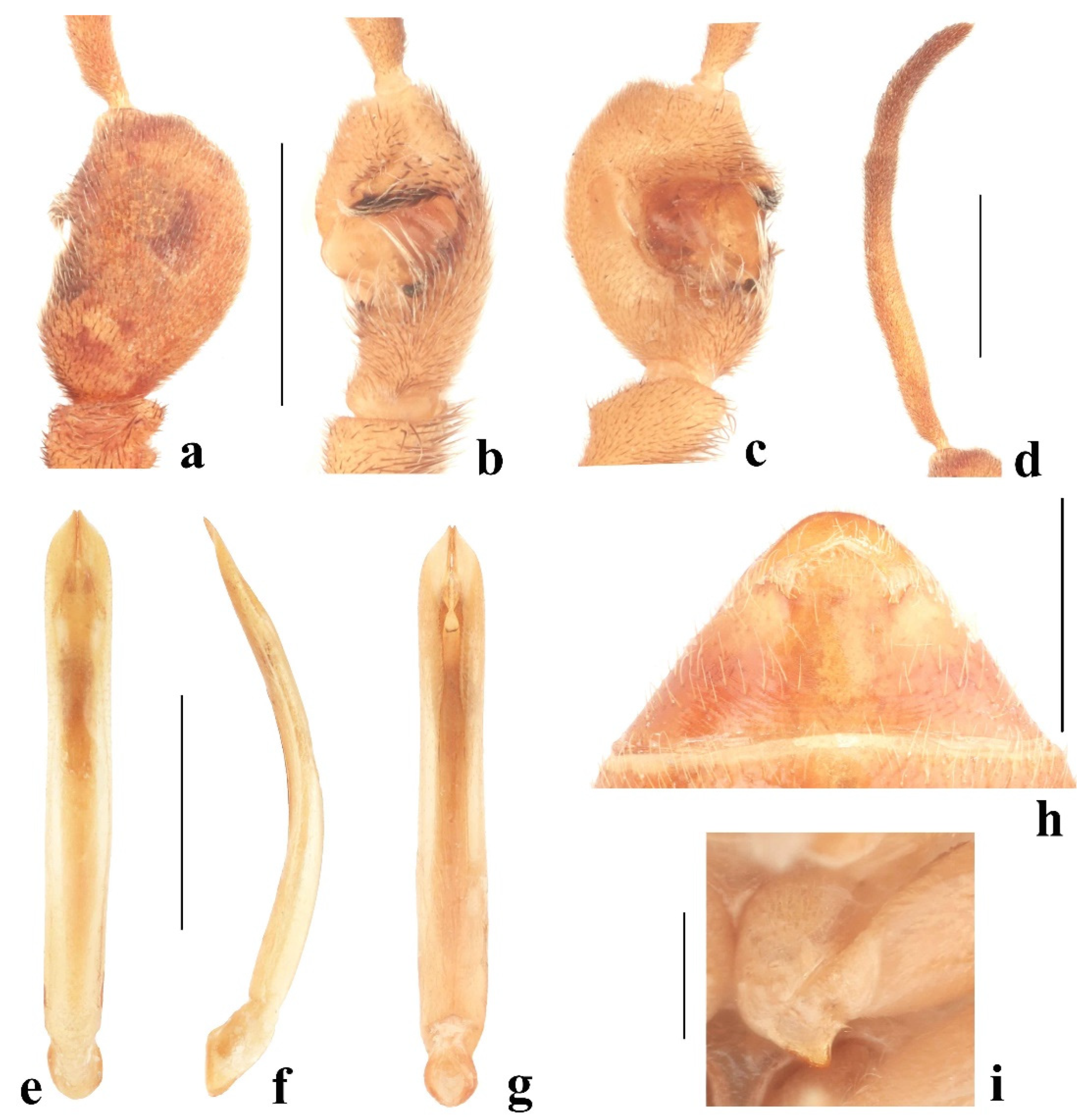 Diversity 14 01041 g013