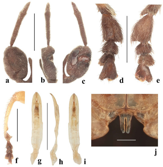 Diversity 14 01041 g015