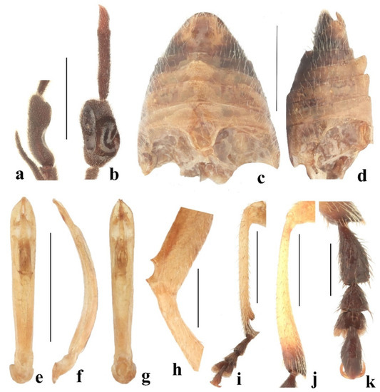 Diversity 14 01041 g017