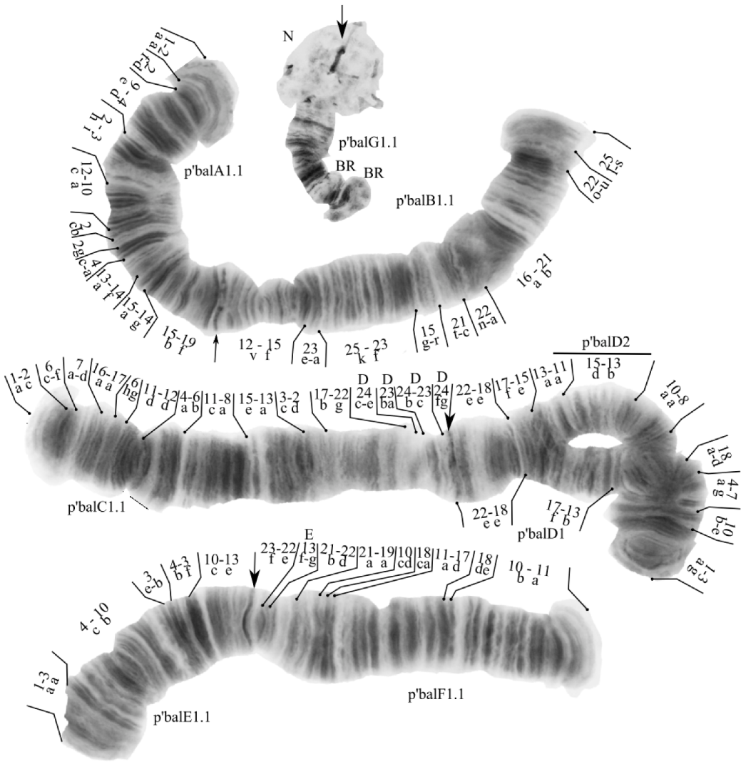 Diversity 14 01044 g003