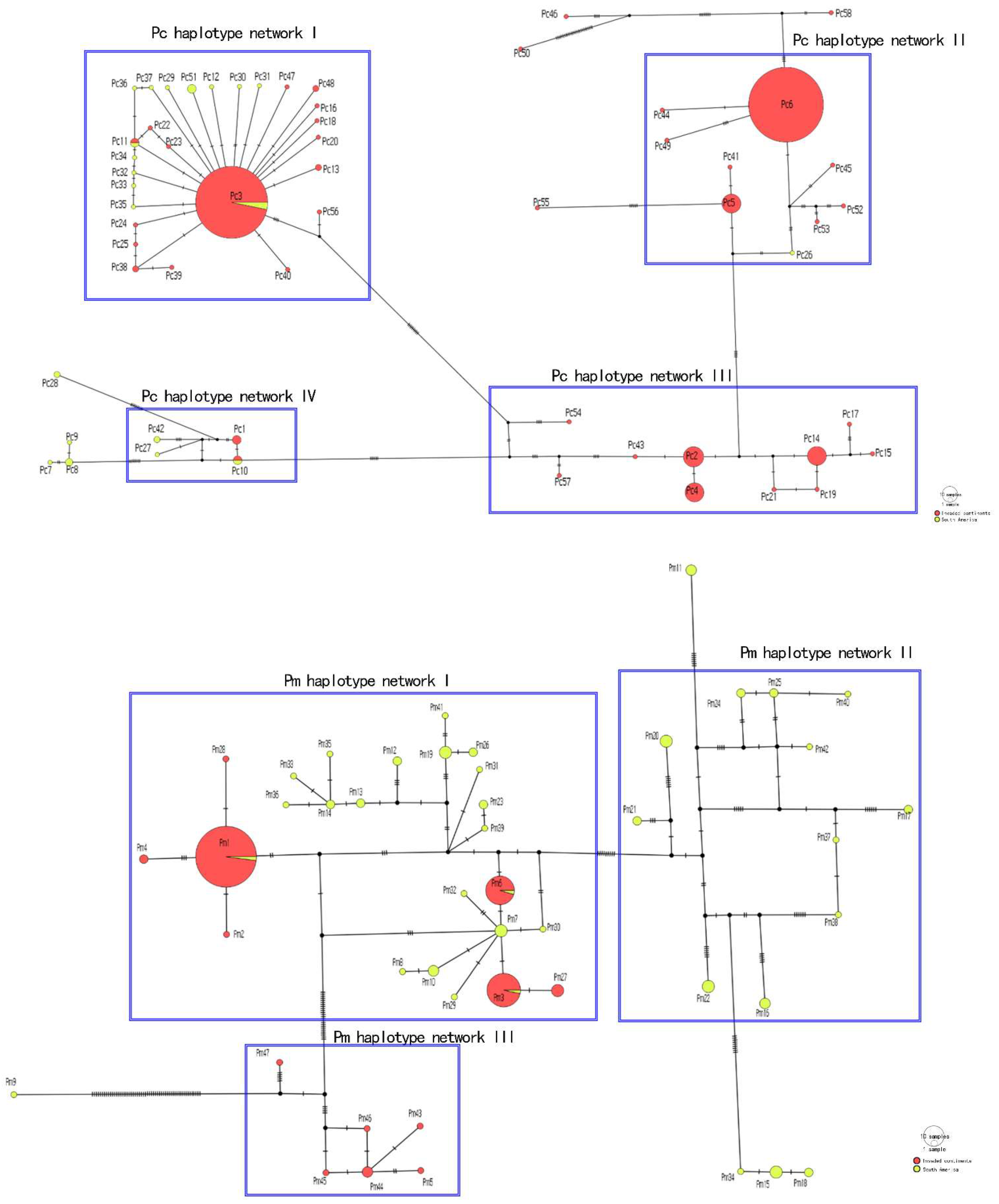 Diversity 14 01069 g003