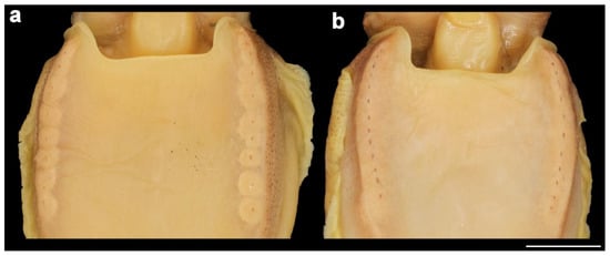 Diversity 14 01073 g007