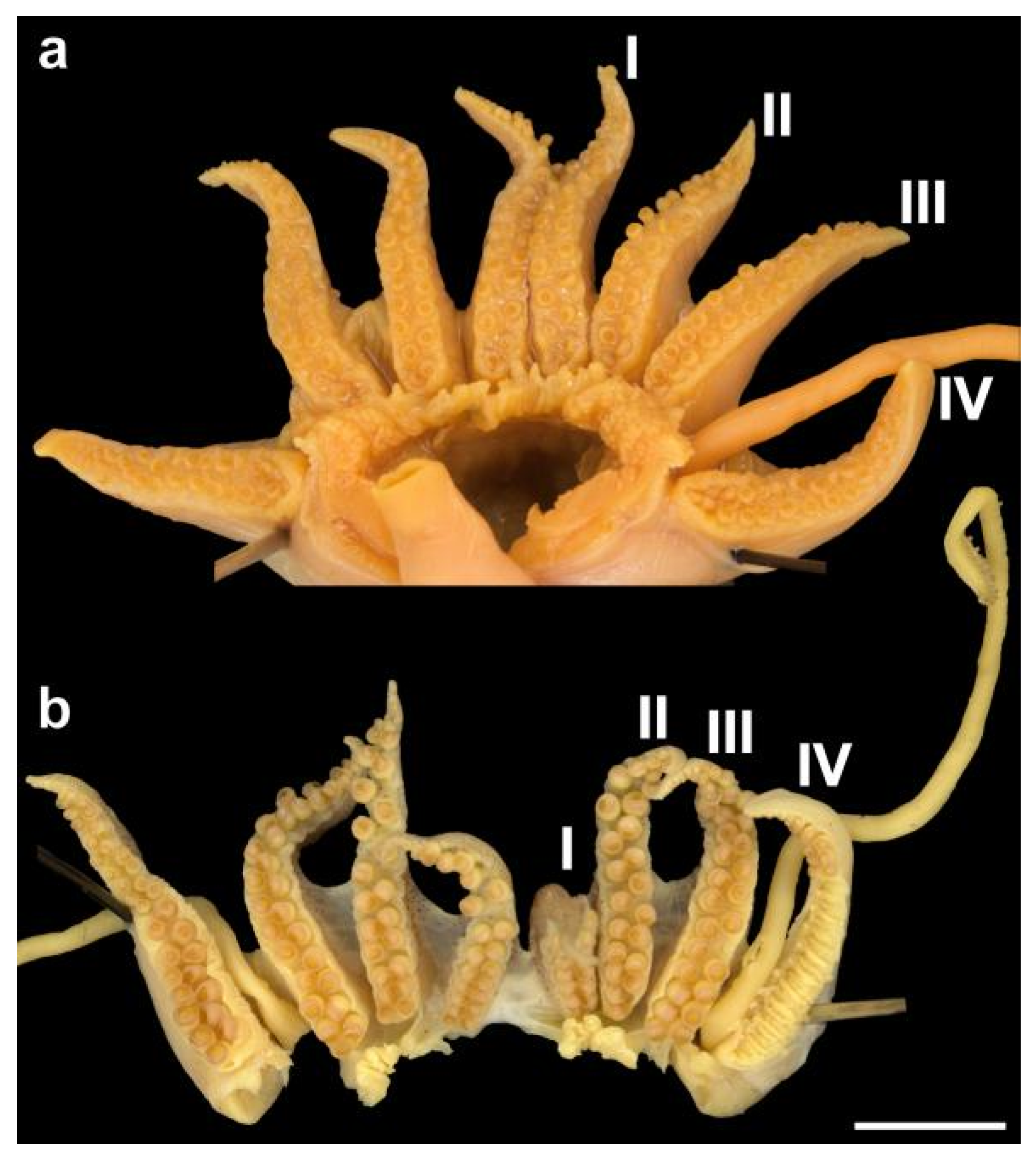 Diversity 14 01073 g013