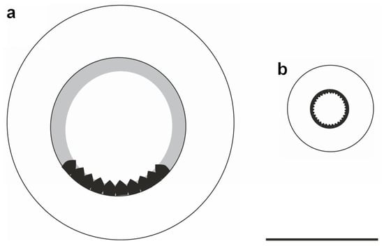 Diversity 14 01073 g014